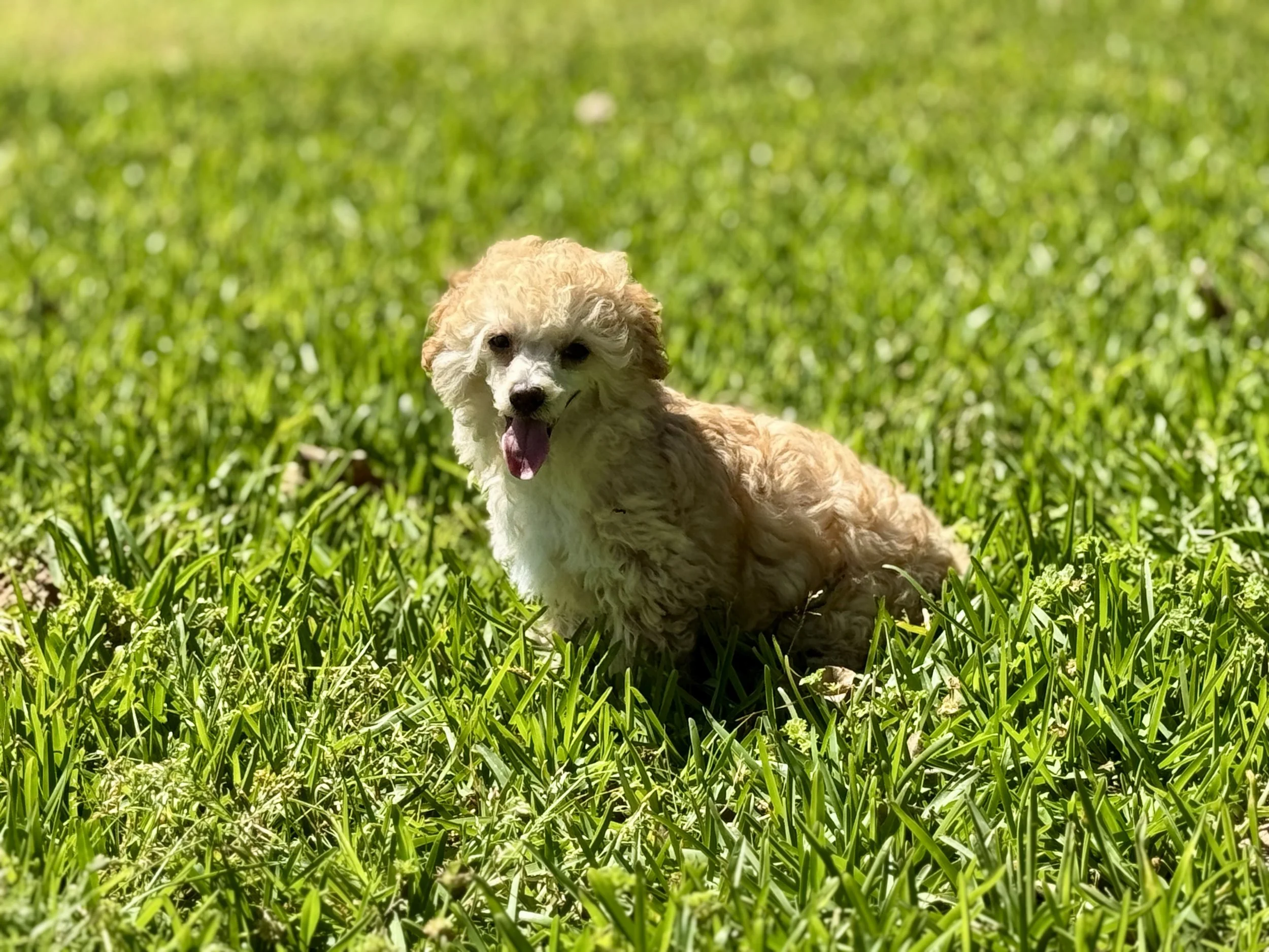 Photo Mar 22 2026, 2 37 28 PM.jpg