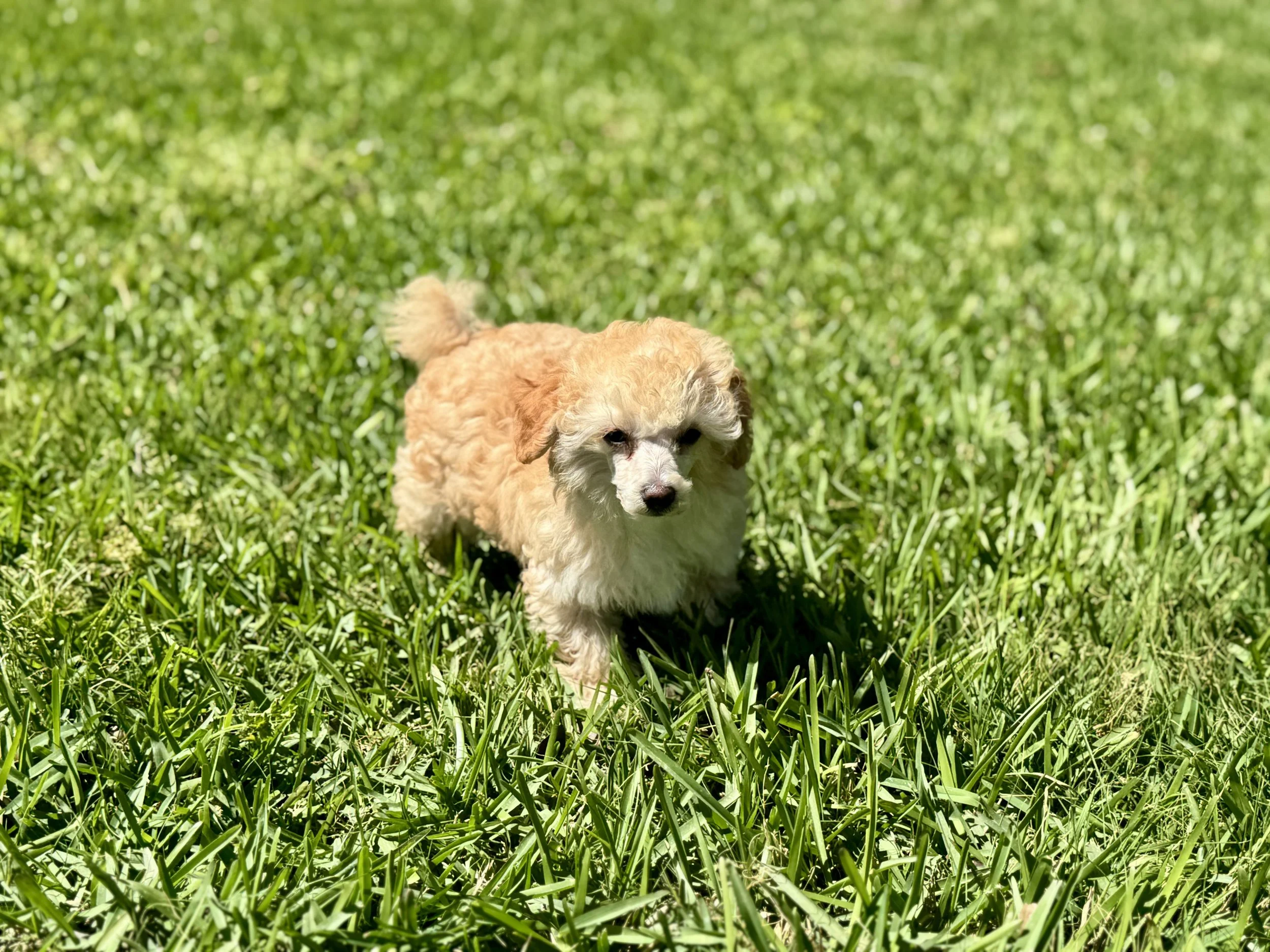 Photo Mar 22 2026, 2 32 57 PM.jpg