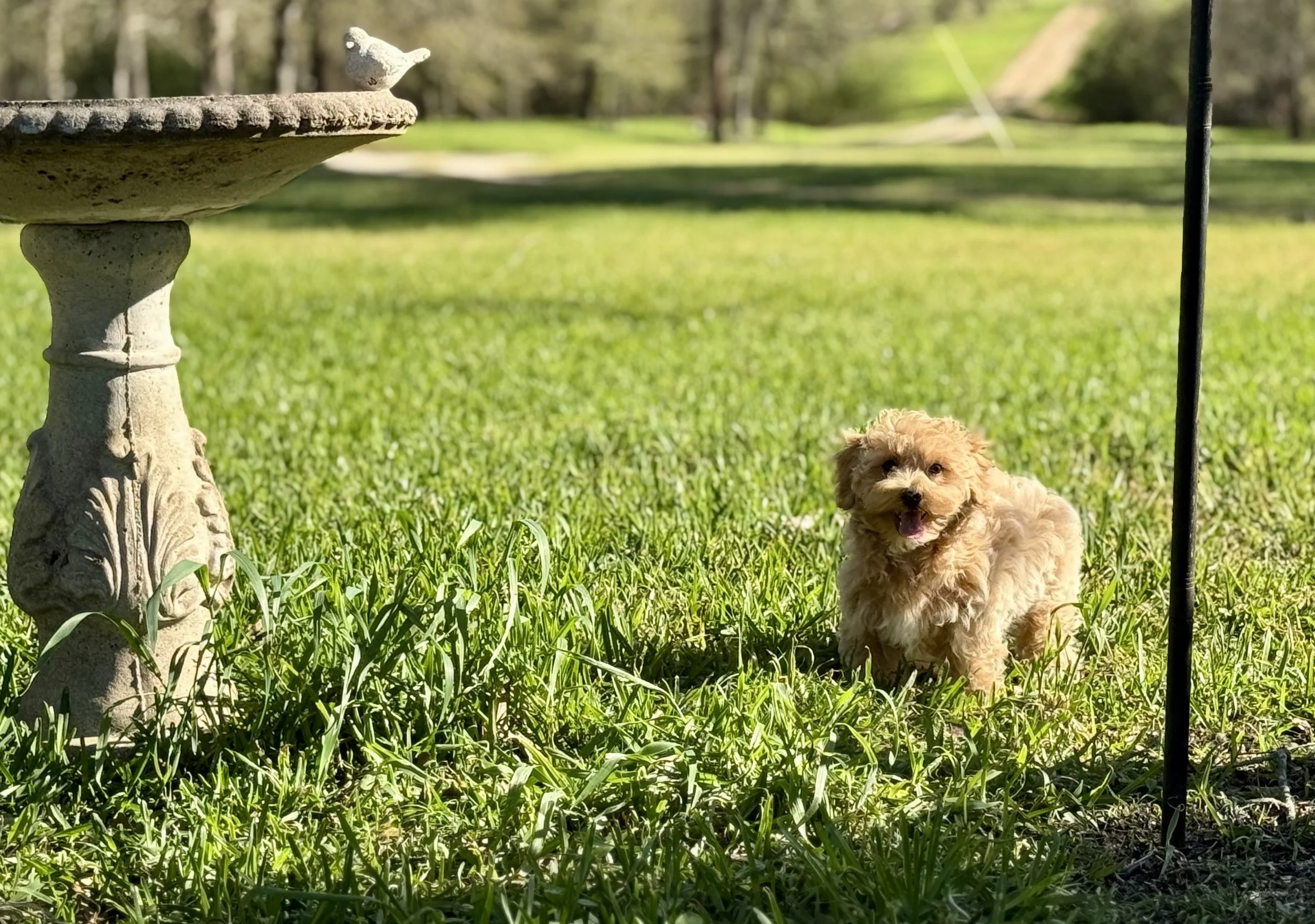 Photo Mar 22 2026, 5 02 02 PM.jpg