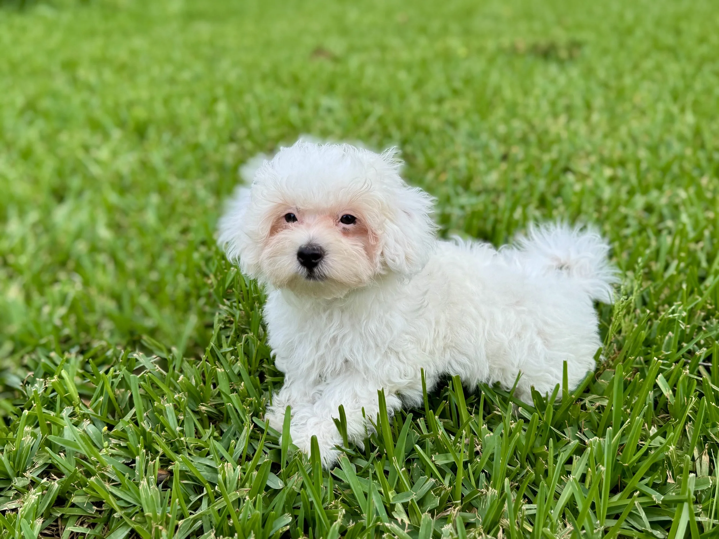 Photo Apr 27 2026, 12 27 40 PM.jpg