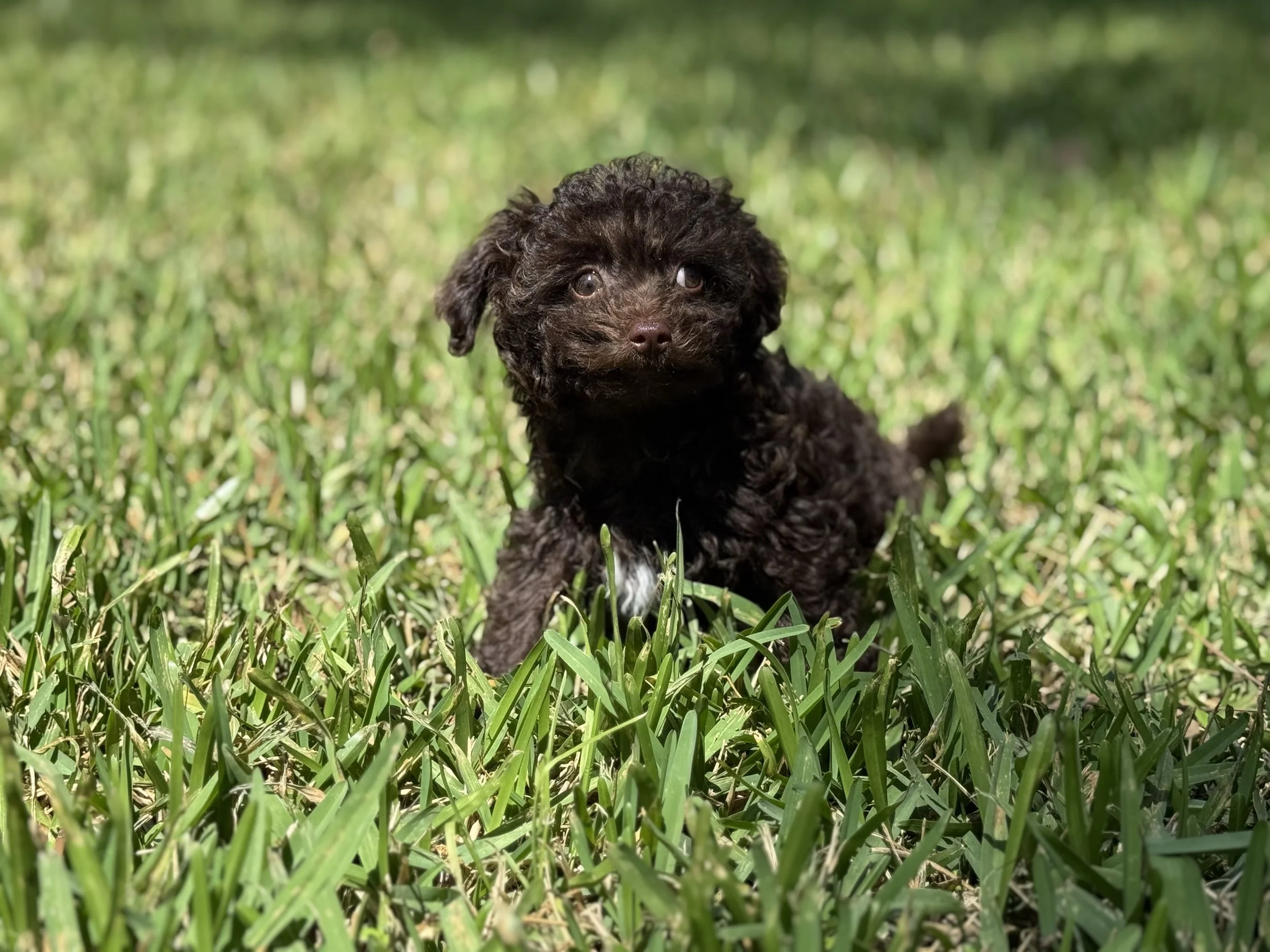 Photo Mar 22 2026, 2 00 16 PM.jpg