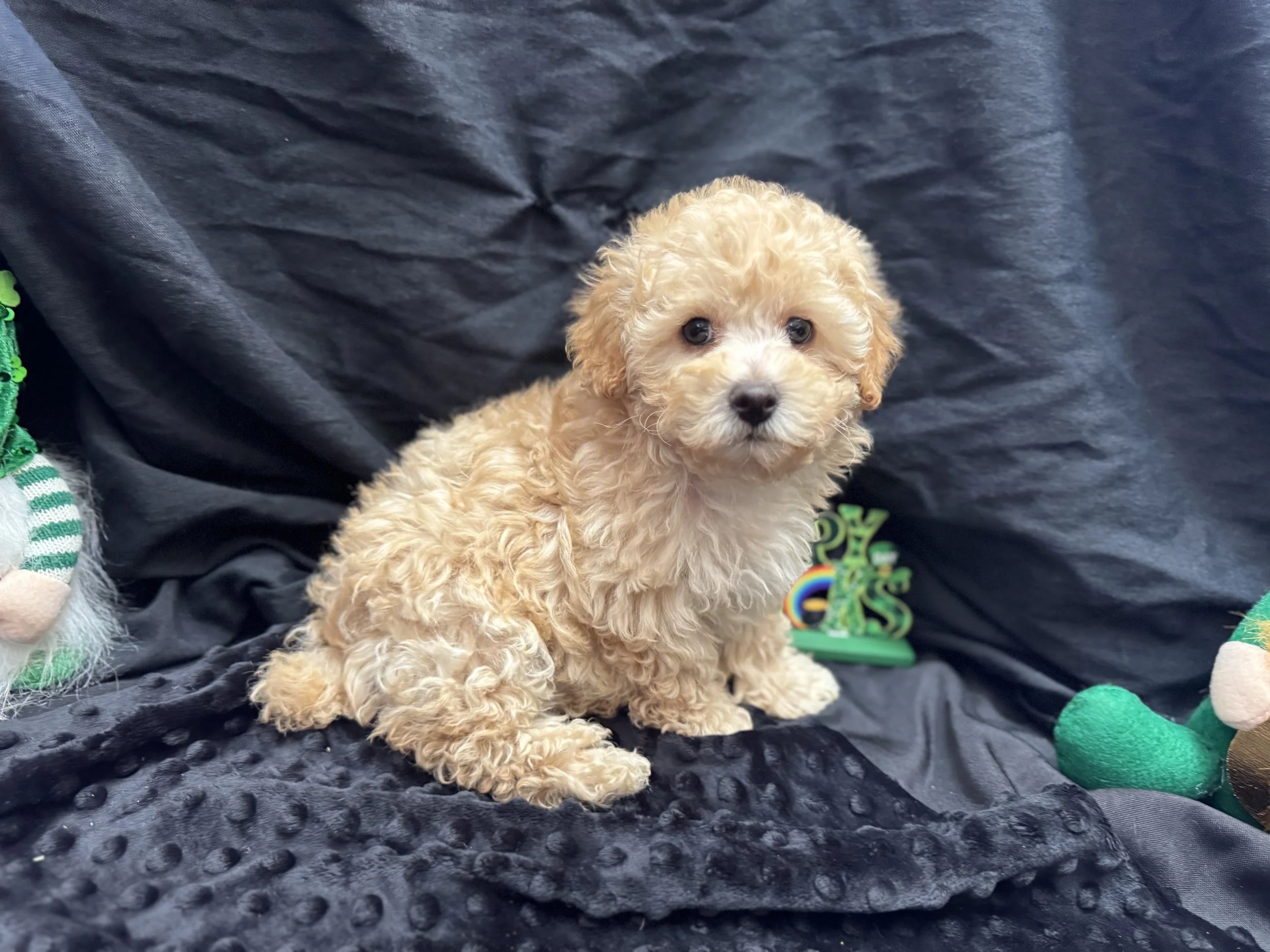 Photo Feb 22 2026, 11 58 10 AM.jpg