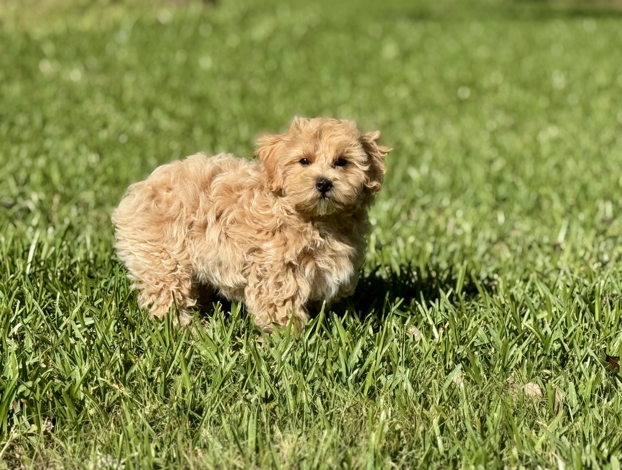 Photo Mar 22 2026, 5 00 06 PM.jpg