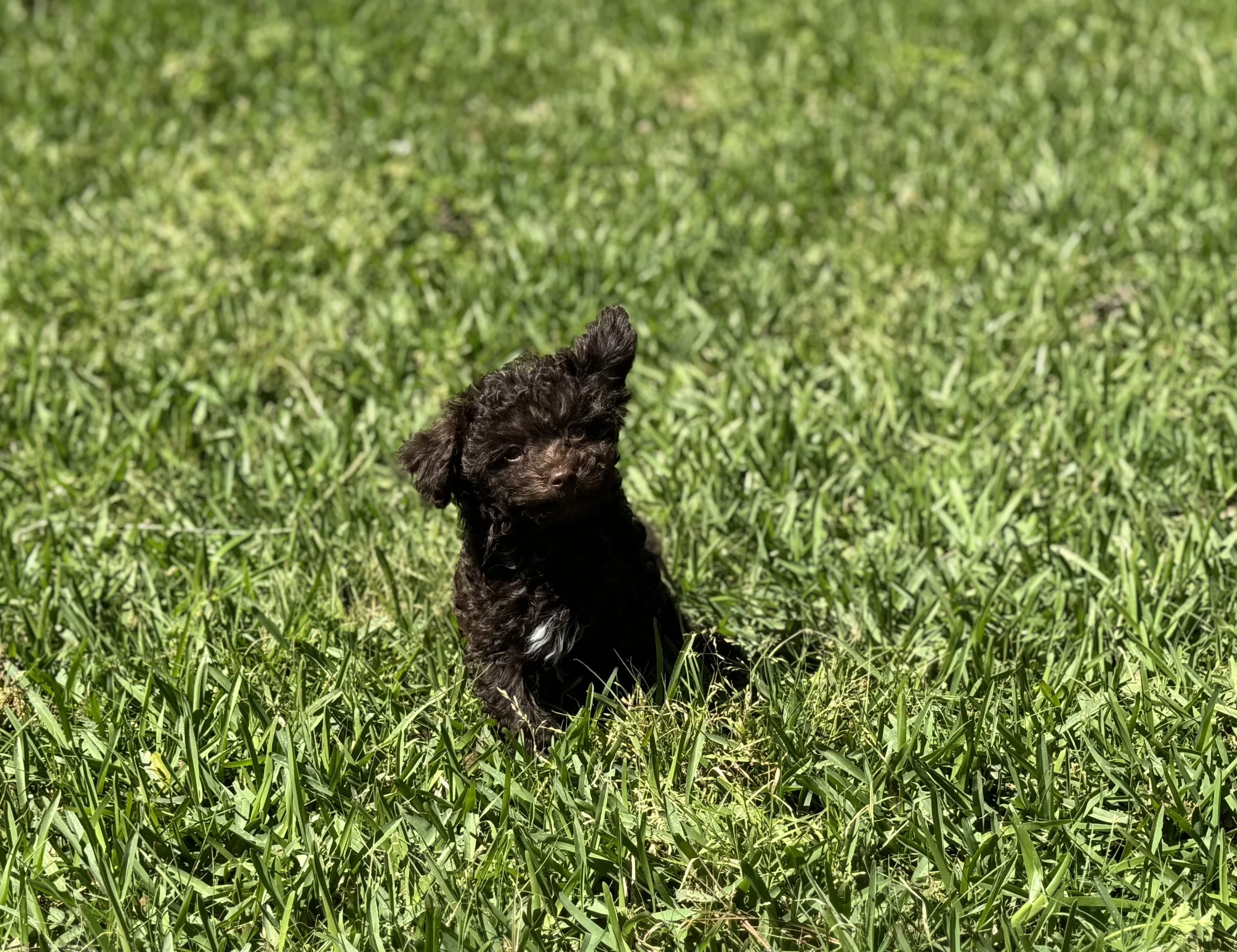 Photo Mar 22 2026, 1 58 49 PM.jpg