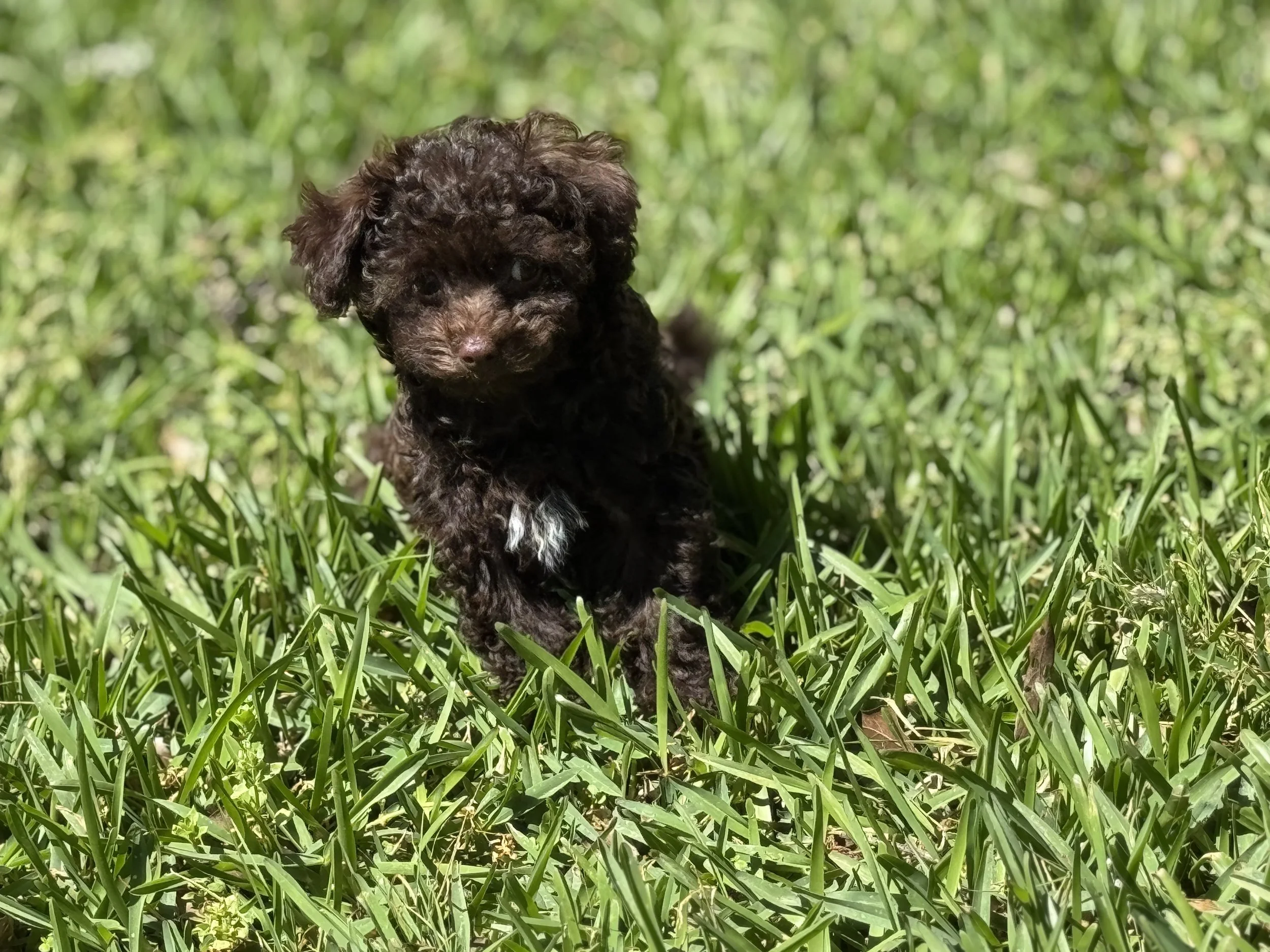 Photo Mar 22 2026, 1 59 41 PM.jpg