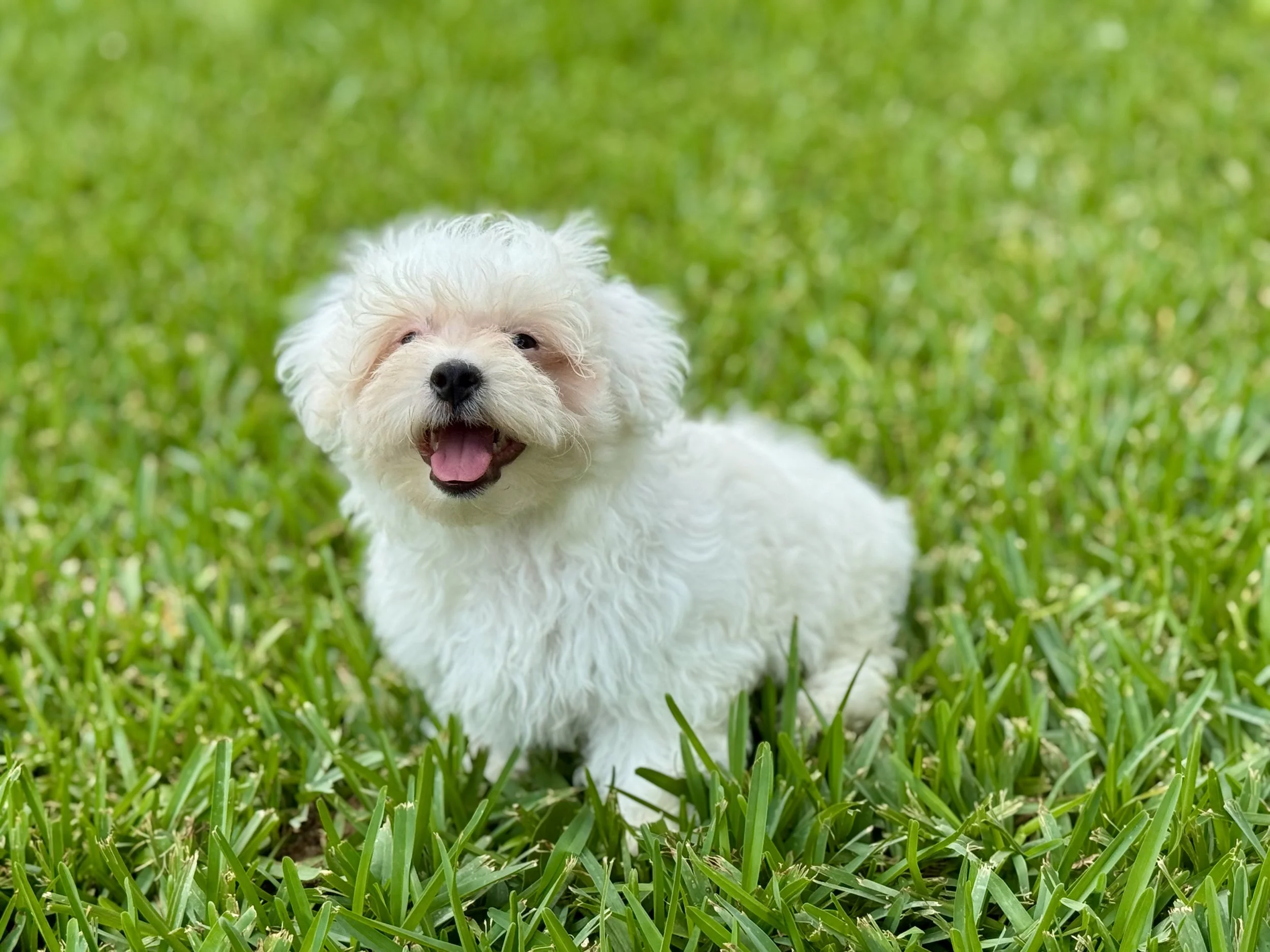 Photo Apr 27 2026, 12 29 24 PM.jpg