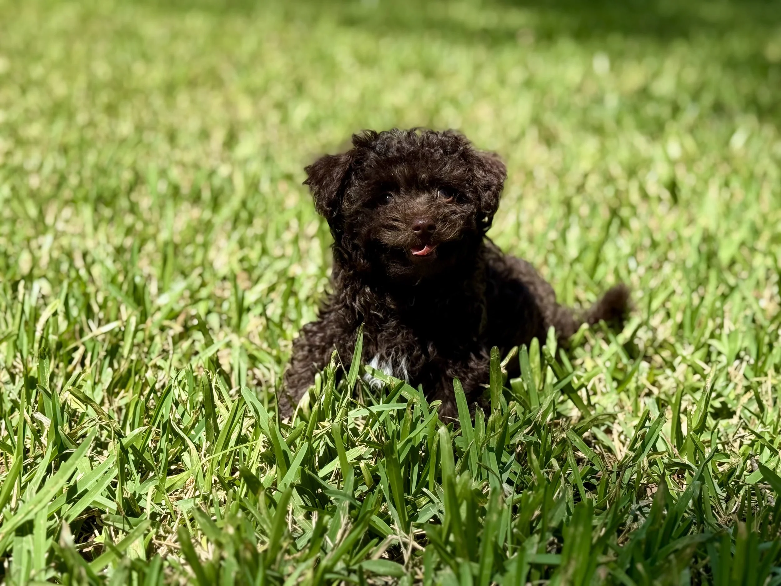 Photo Mar 22 2026, 2 00 24 PM.jpg