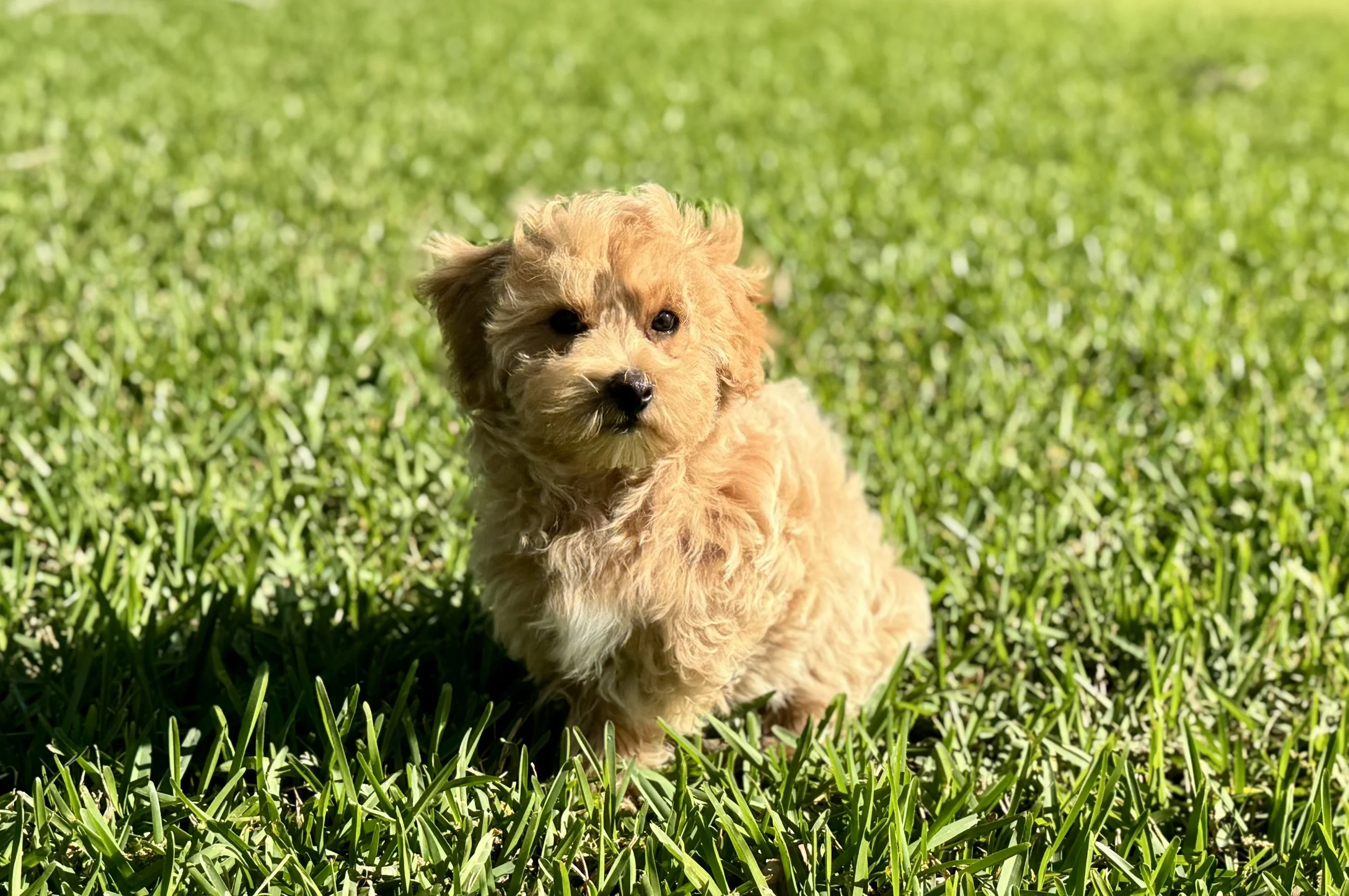 Photo Mar 22 2026, 5 00 43 PM.jpg