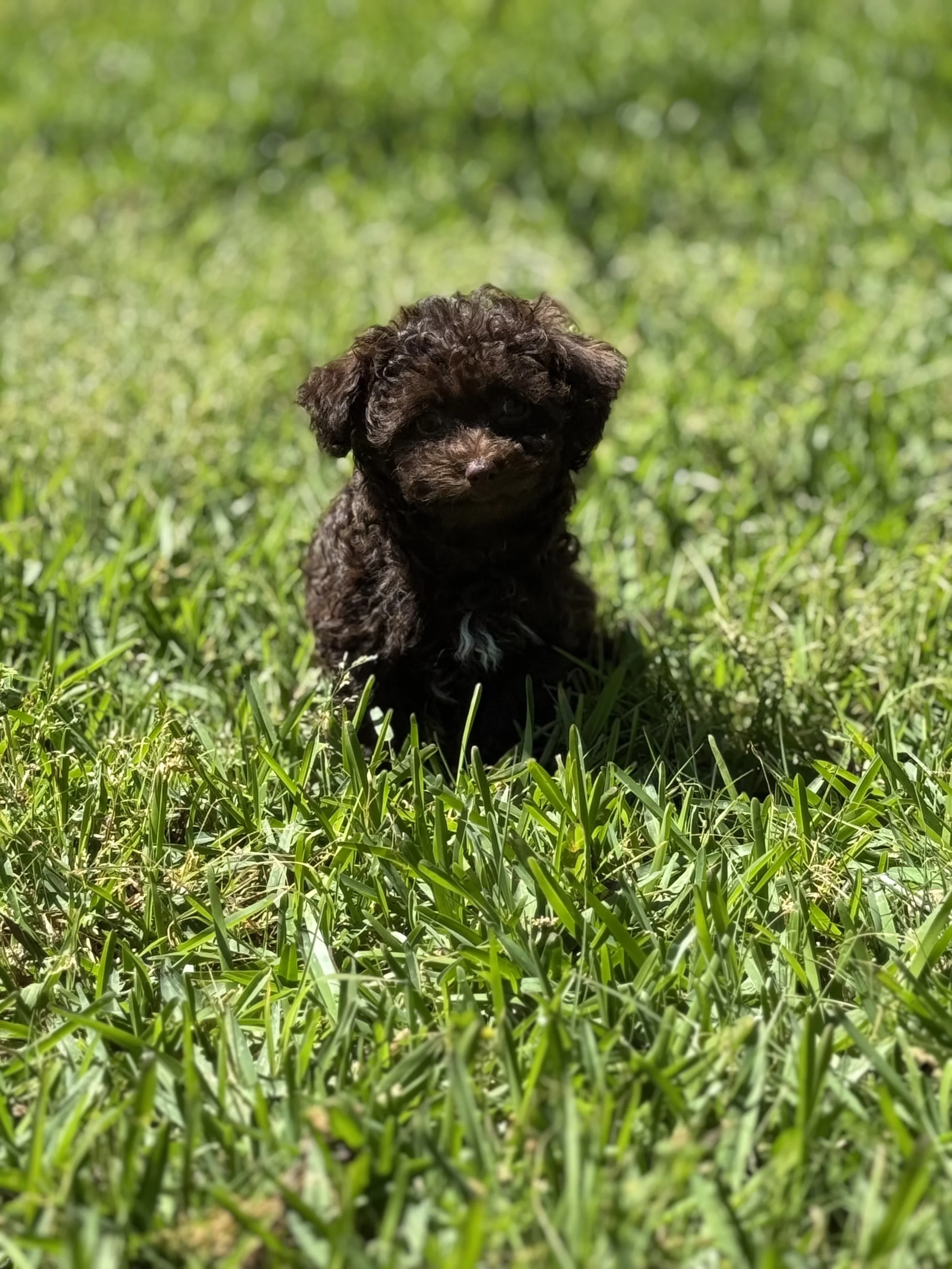 Photo Mar 22 2026, 1 58 12 PM.jpg