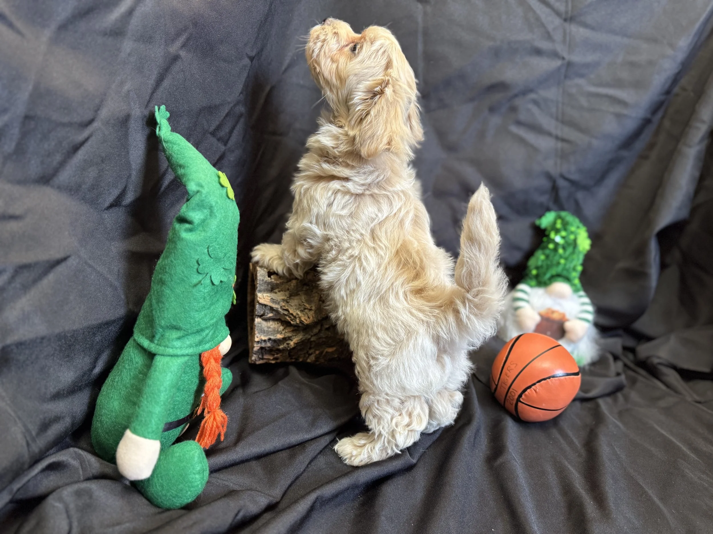 Photo Feb 22 2026, 11 32 34 AM.jpg