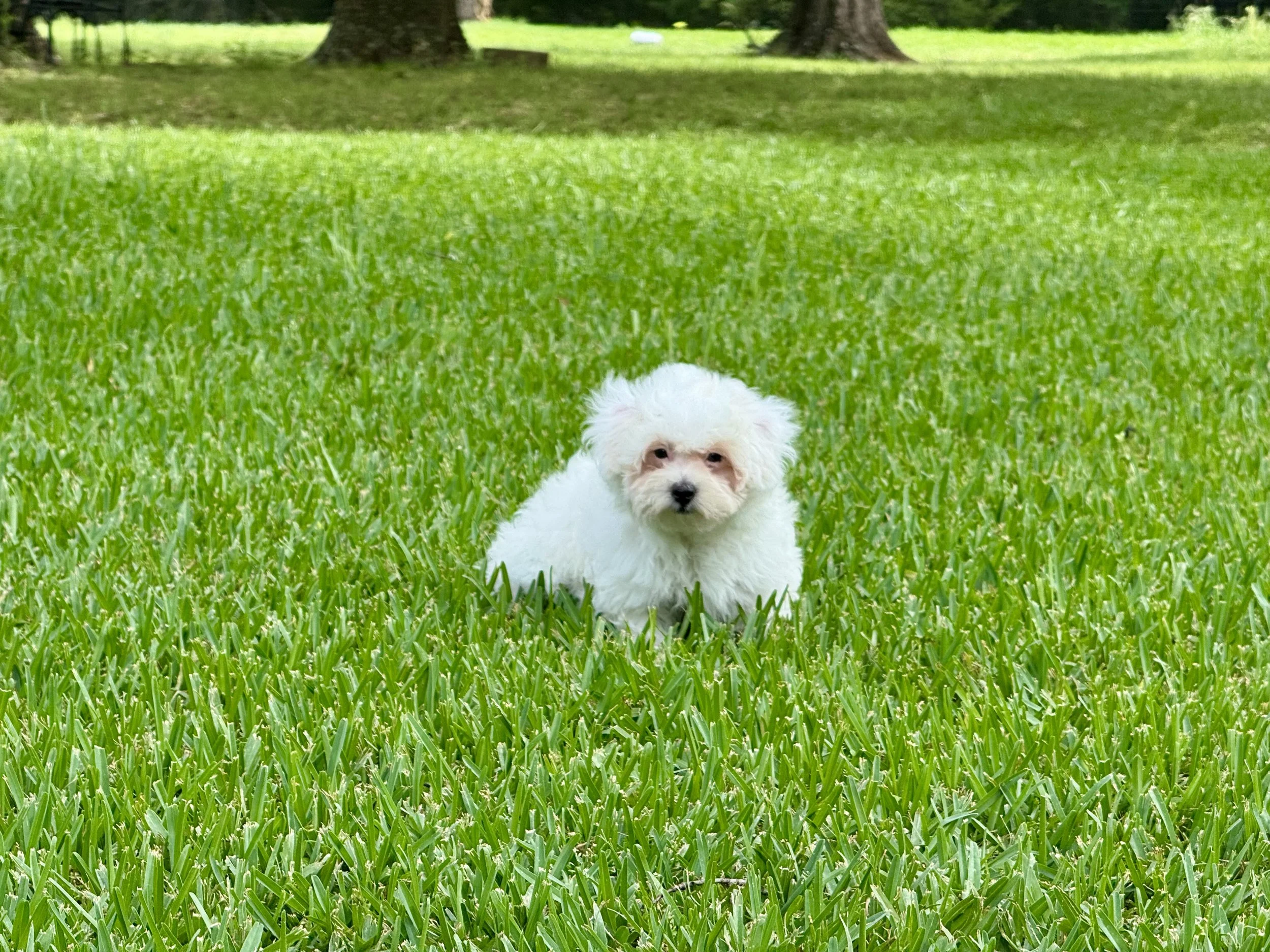 Photo Apr 27 2026, 12 27 20 PM.jpg