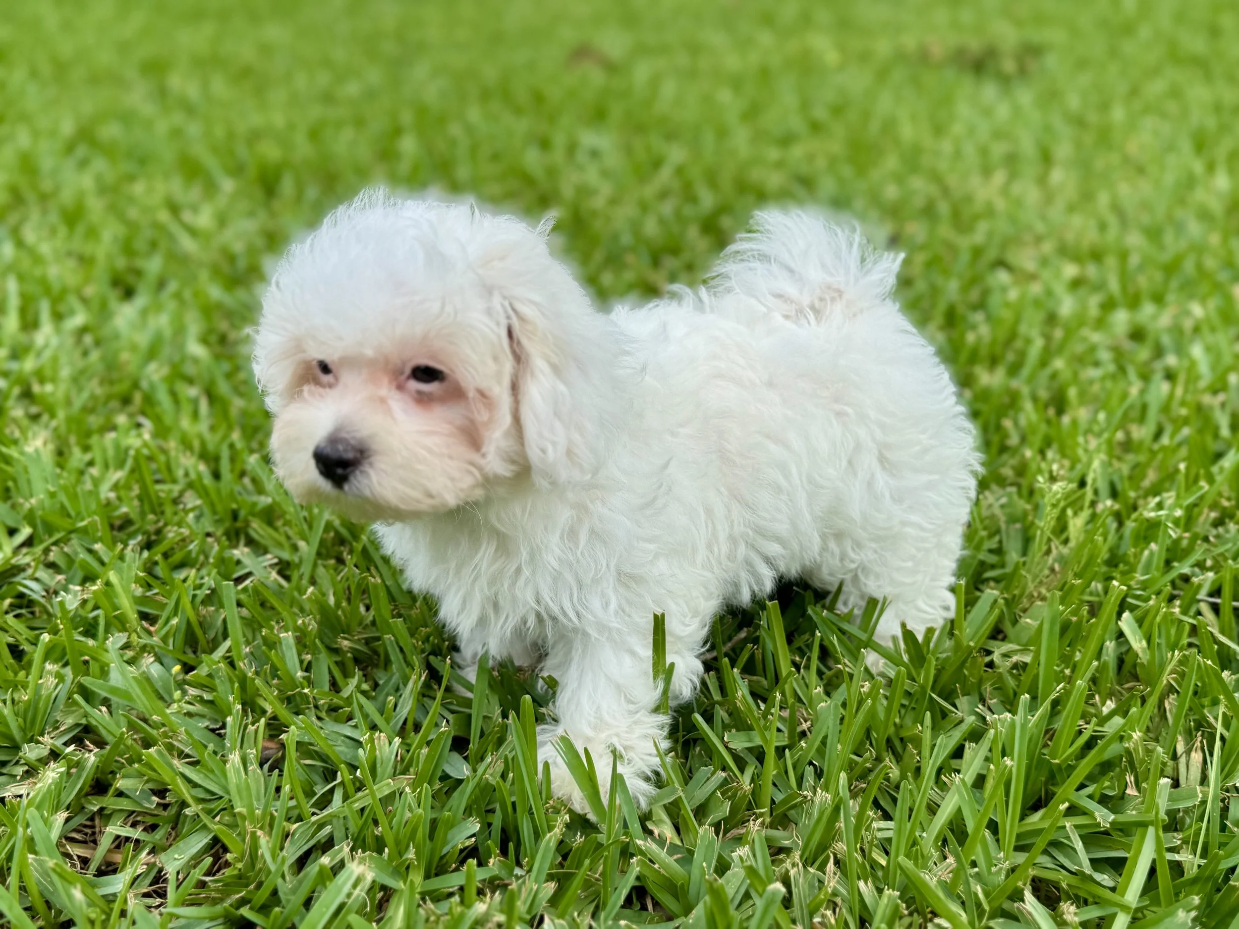 Photo Apr 27 2026, 12 27 42 PM.jpg