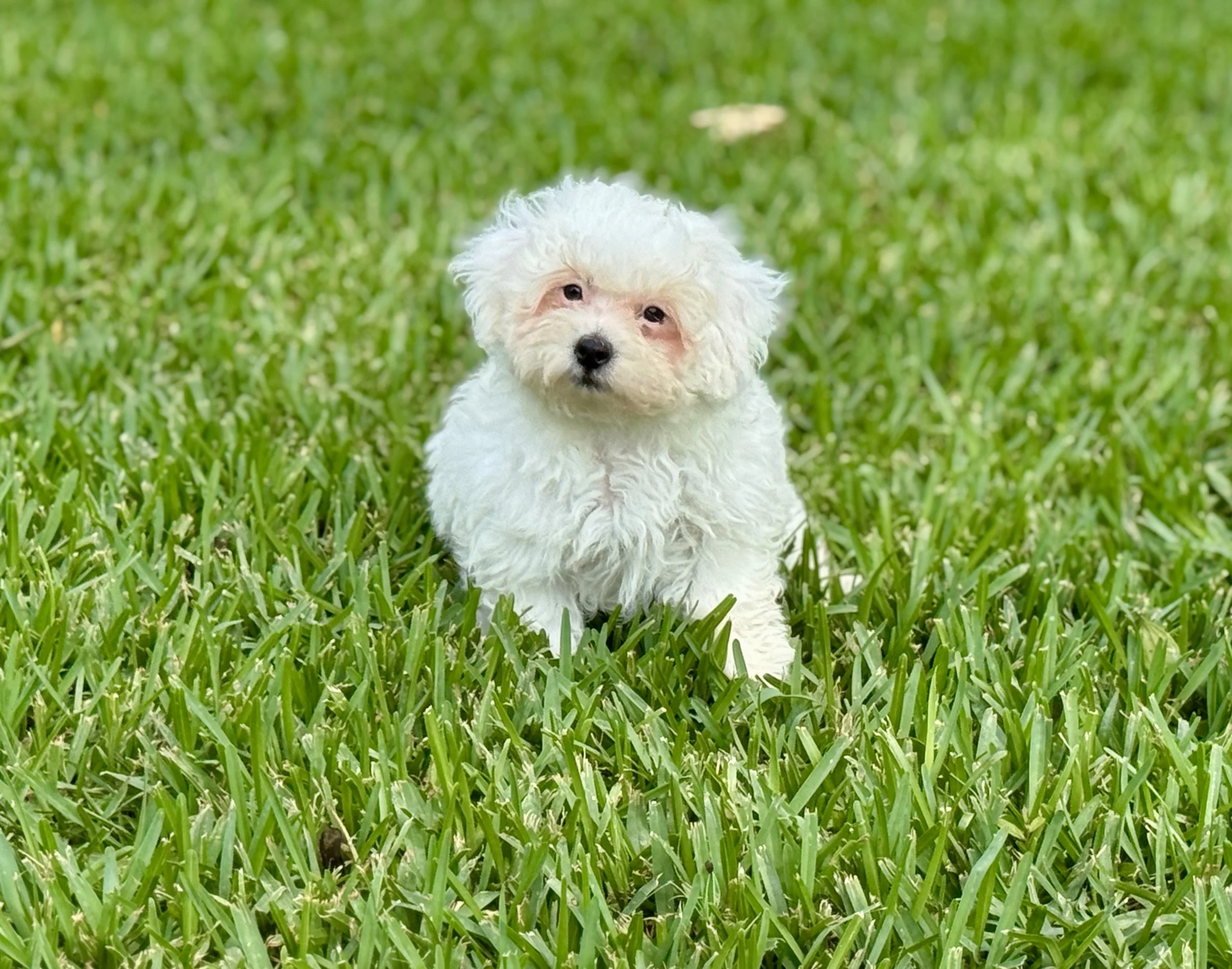 Photo Apr 27 2026, 12 25 47 PM.jpg