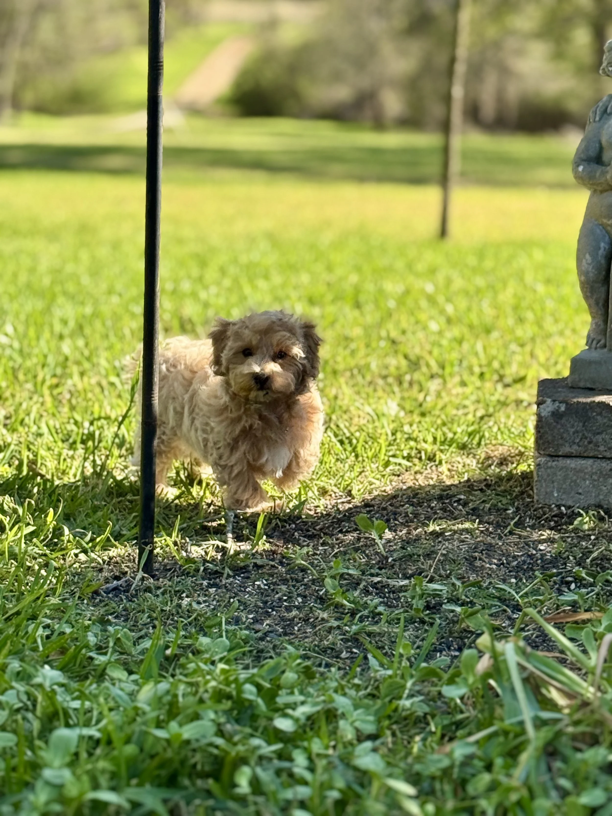 Photo Mar 22 2026, 5 02 16 PM.jpg