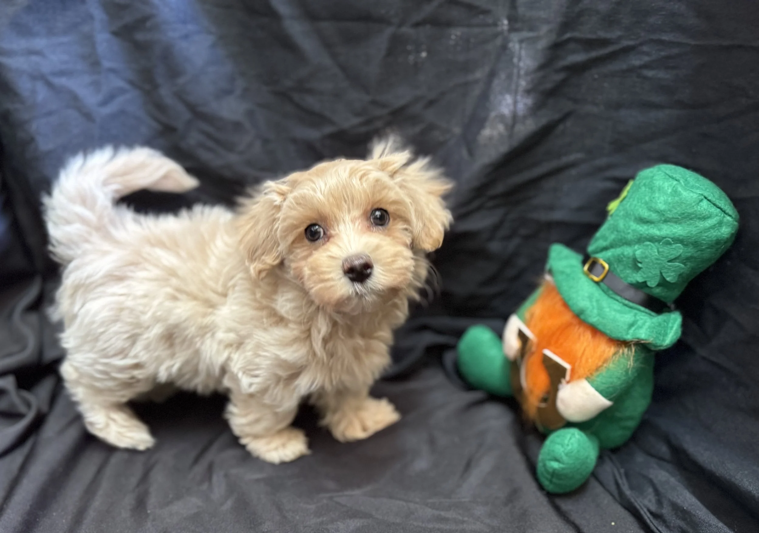 Photo Feb 22 2026, 11 28 59 AM.jpg