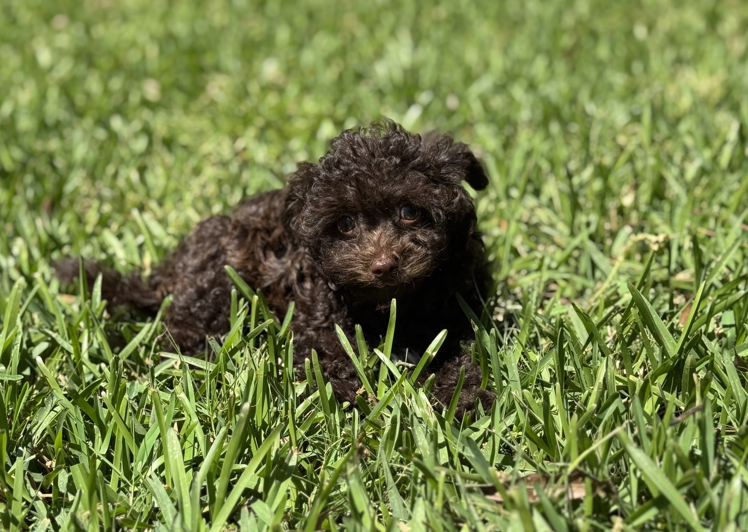 Photo Mar 22 2026, 1 58 03 PM.jpg