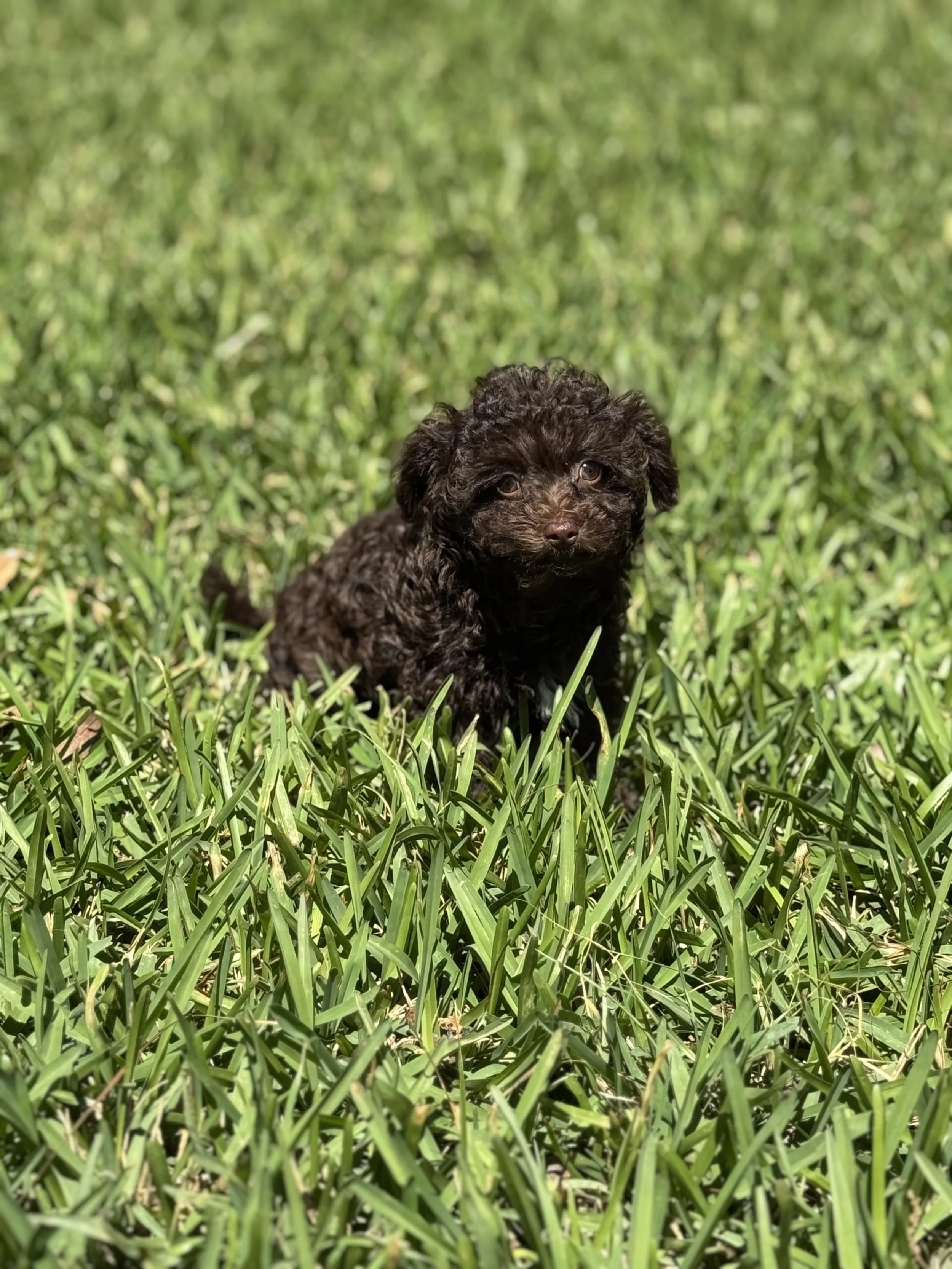 Photo Mar 22 2026, 1 57 35 PM.jpg