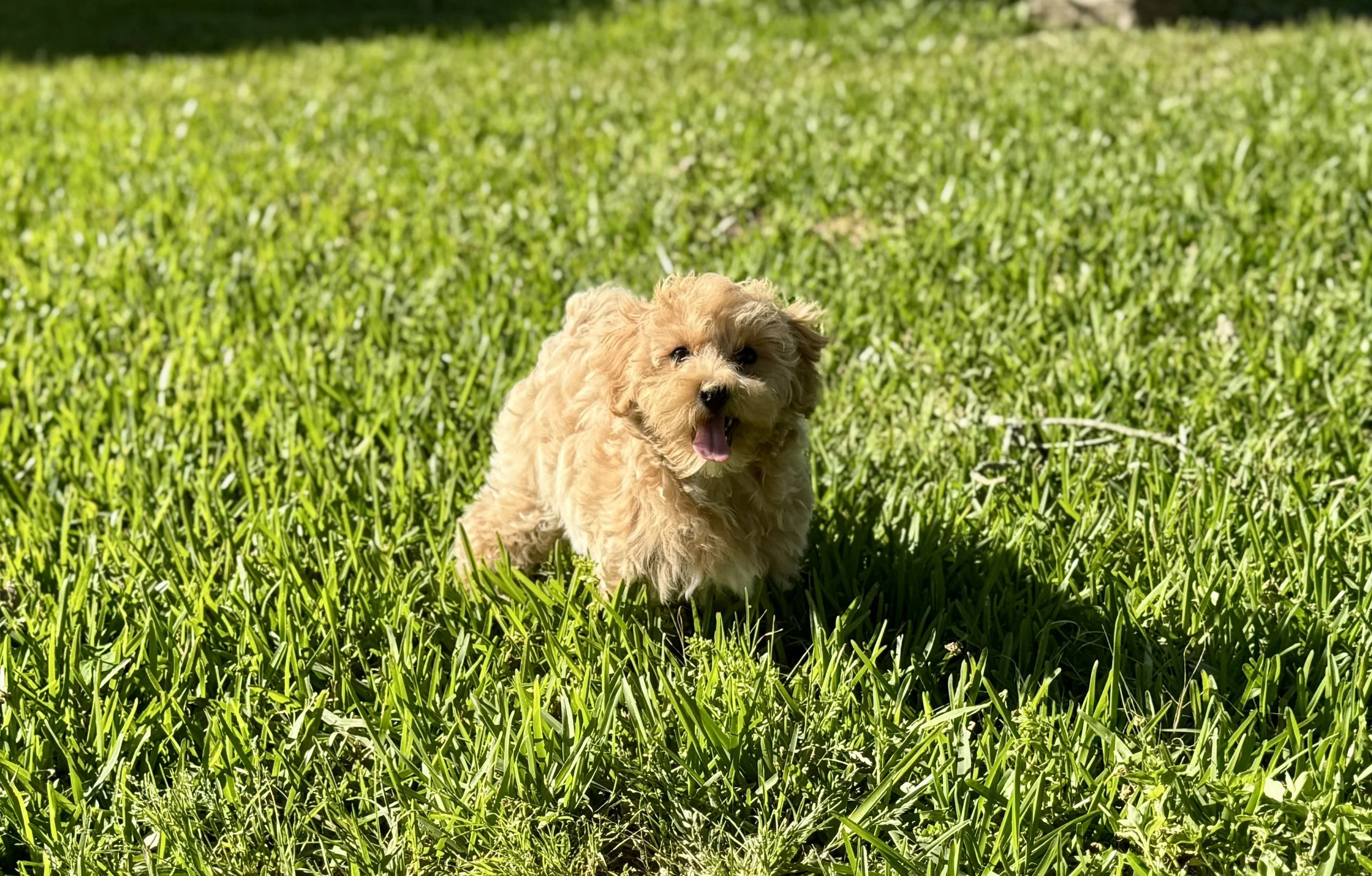 Photo Mar 22 2026, 5 01 21 PM.jpg