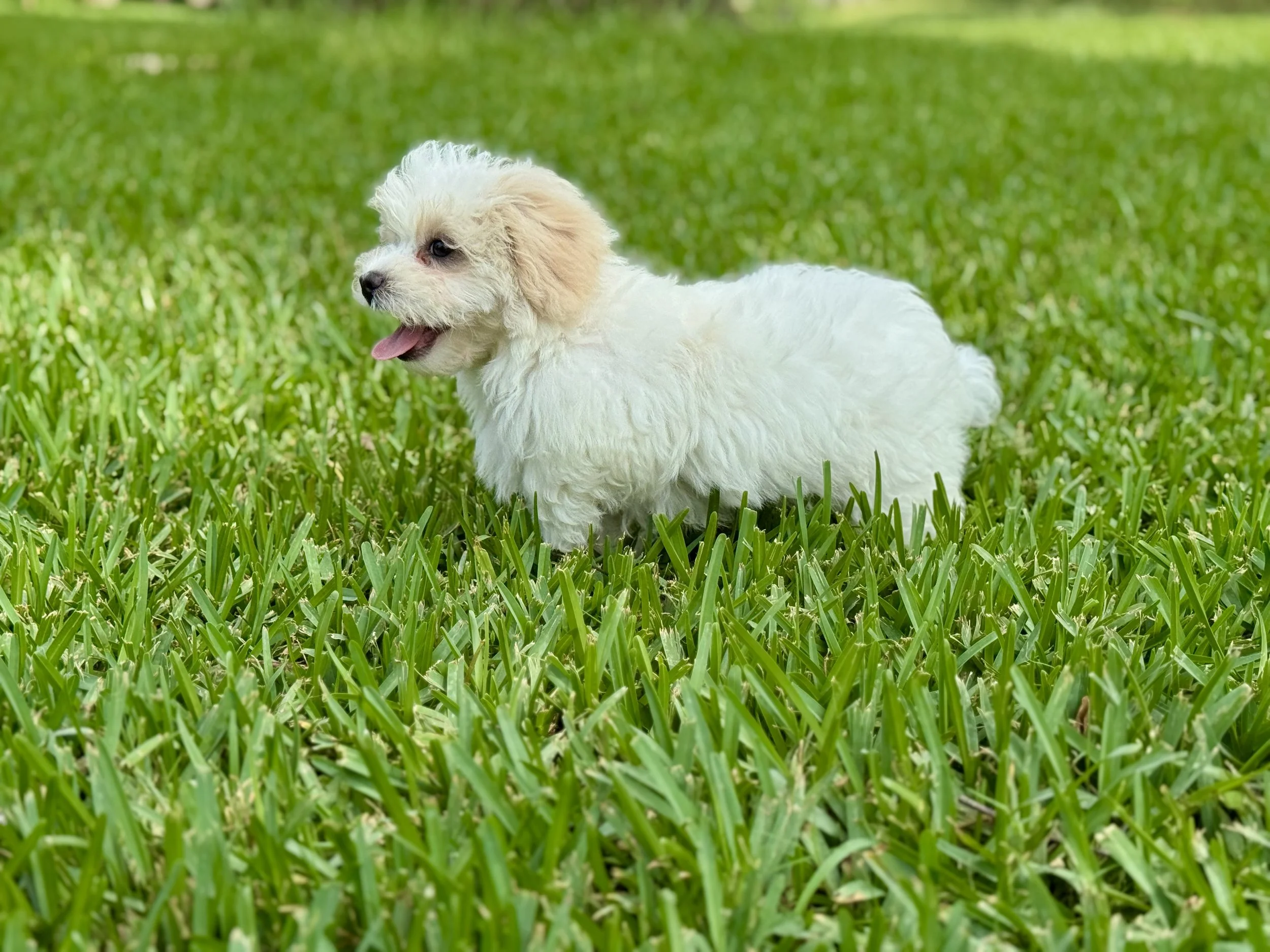 Photo Apr 27 2026, 12 20 51 PM.jpg