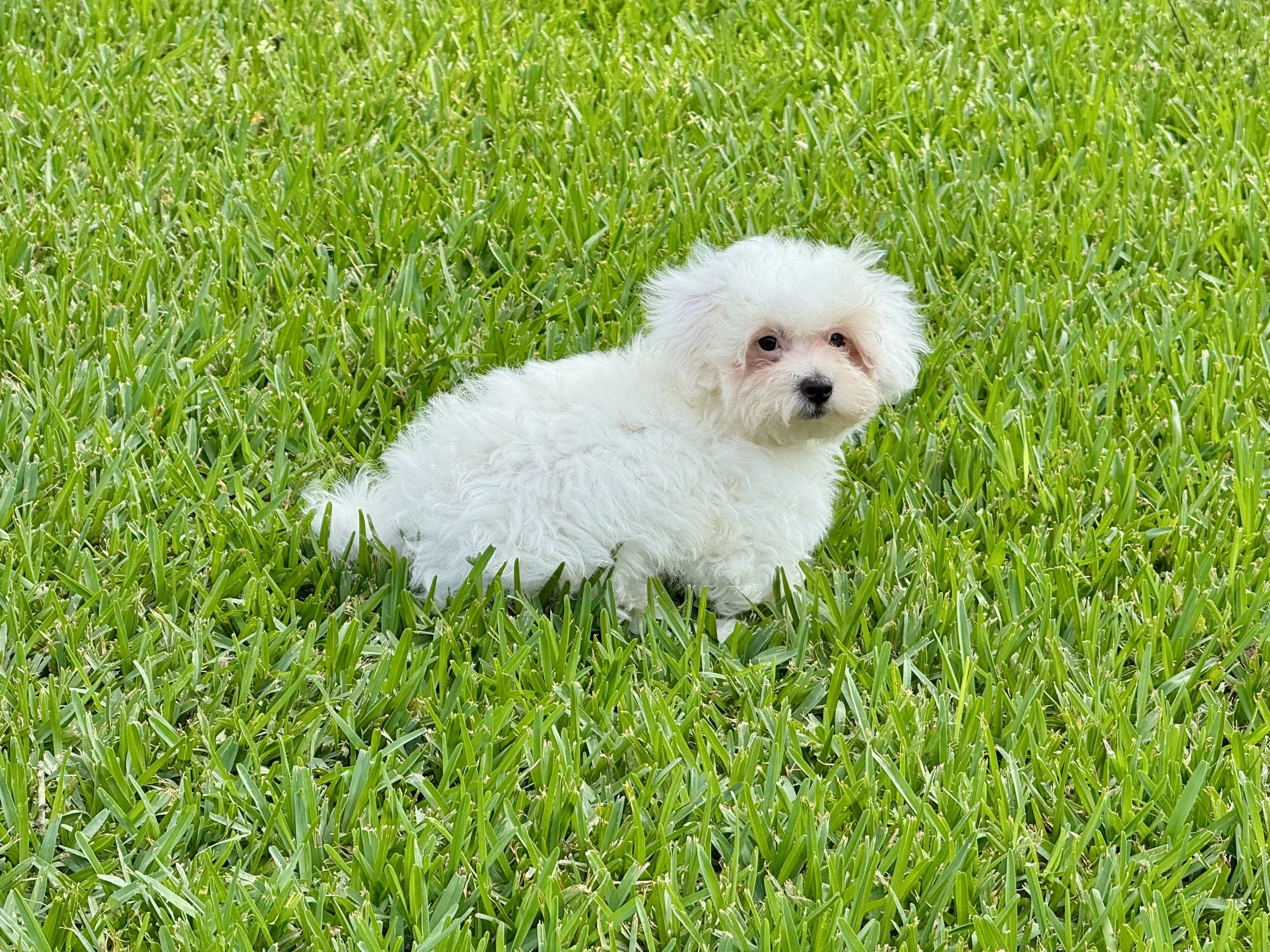 Photo Apr 27 2026, 12 26 06 PM.jpg