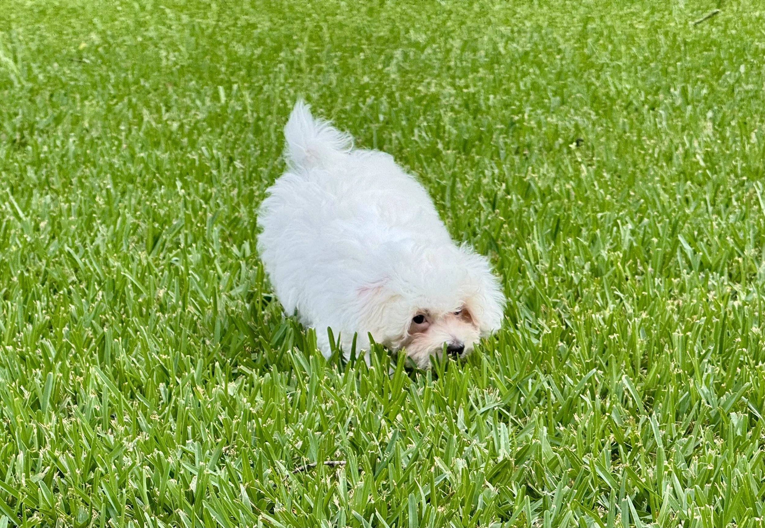 Photo Apr 27 2026, 12 27 32 PM.jpg