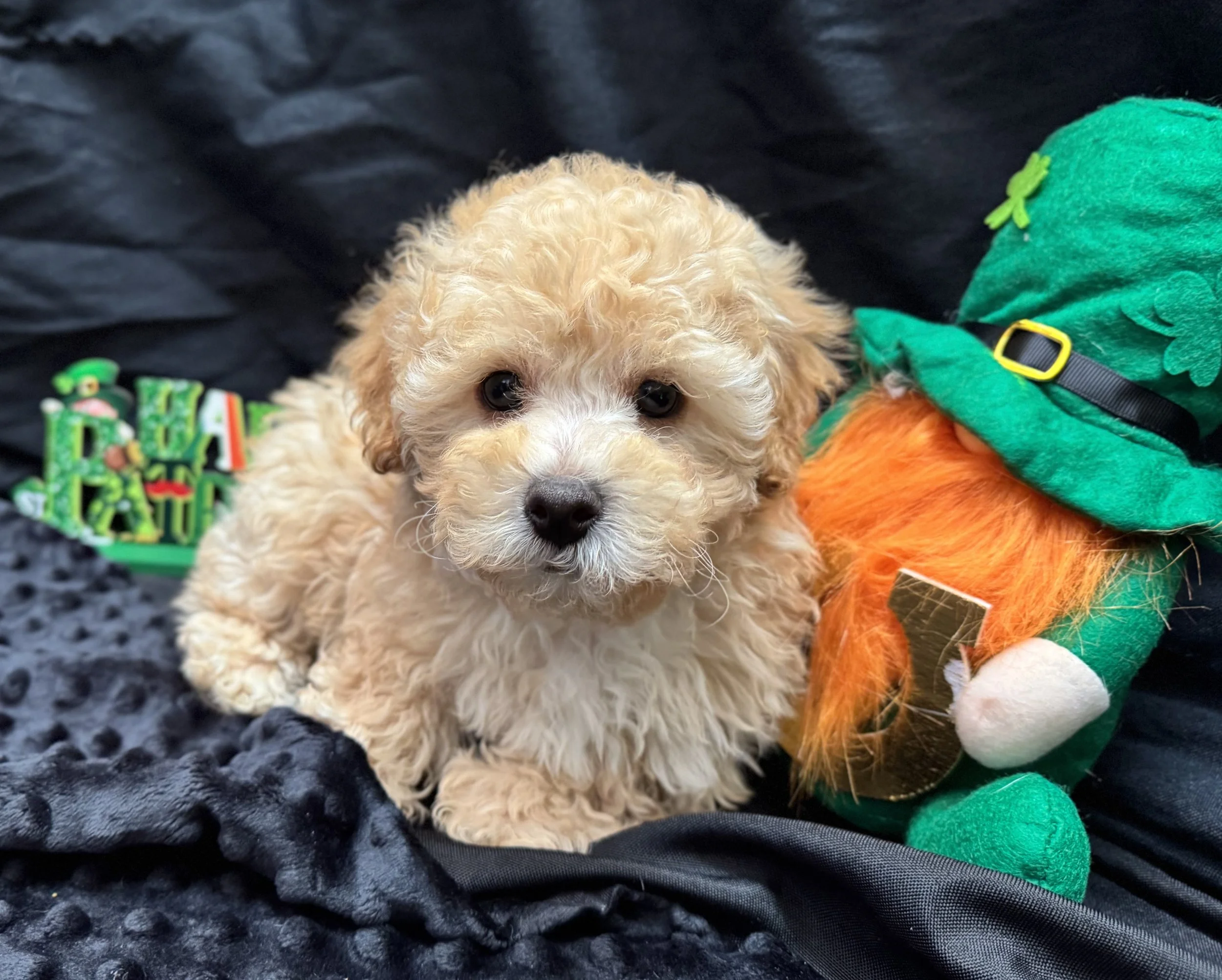 Photo Feb 22 2026, 12 00 40 PM (1).jpg