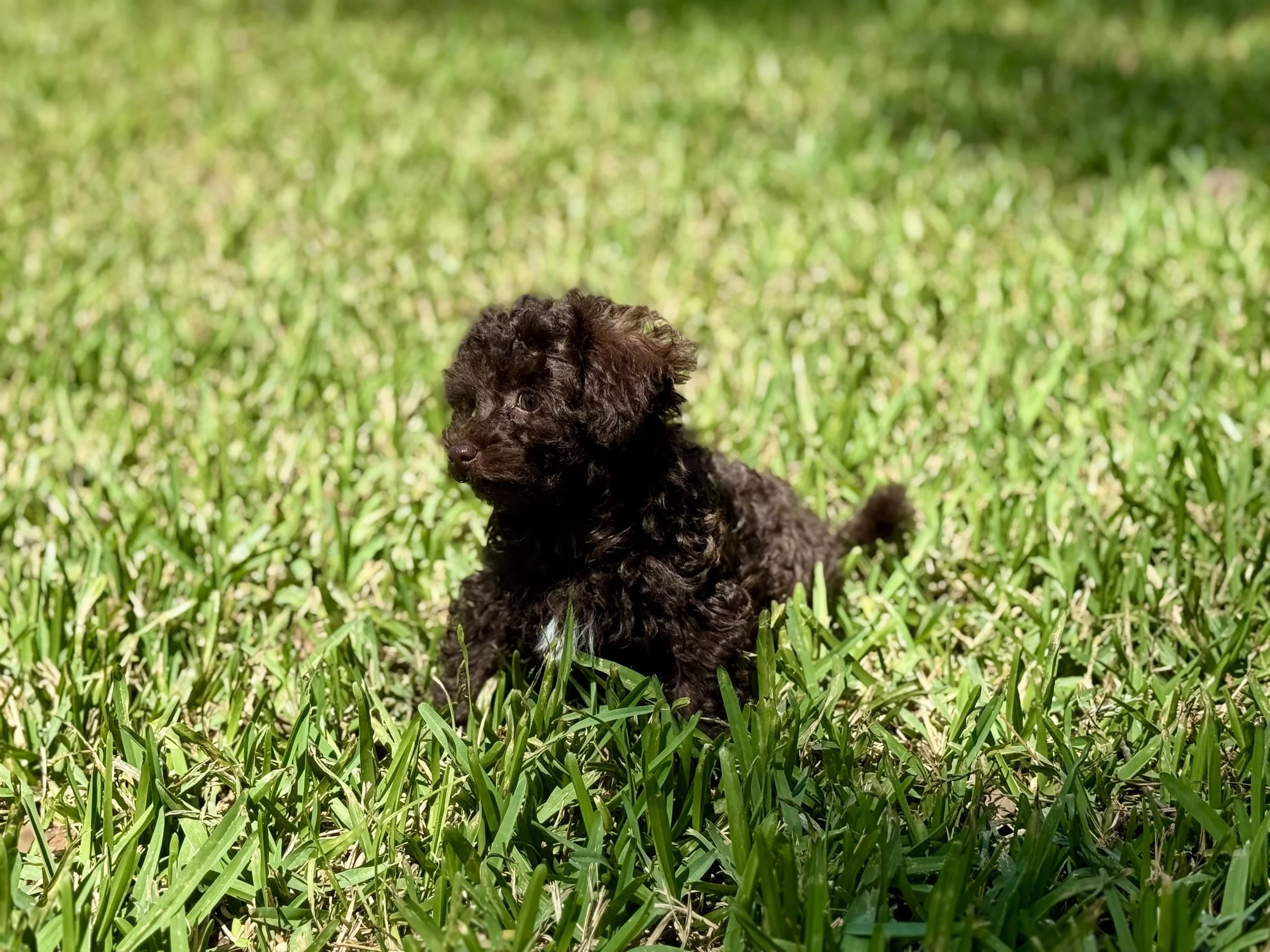 Photo Mar 22 2026, 2 00 12 PM.jpg