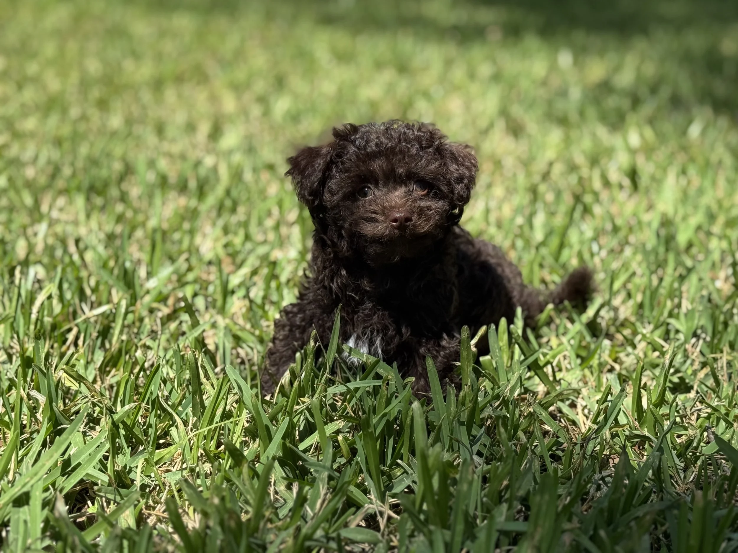 Photo Mar 22 2026, 2 00 24 PM (1).jpg