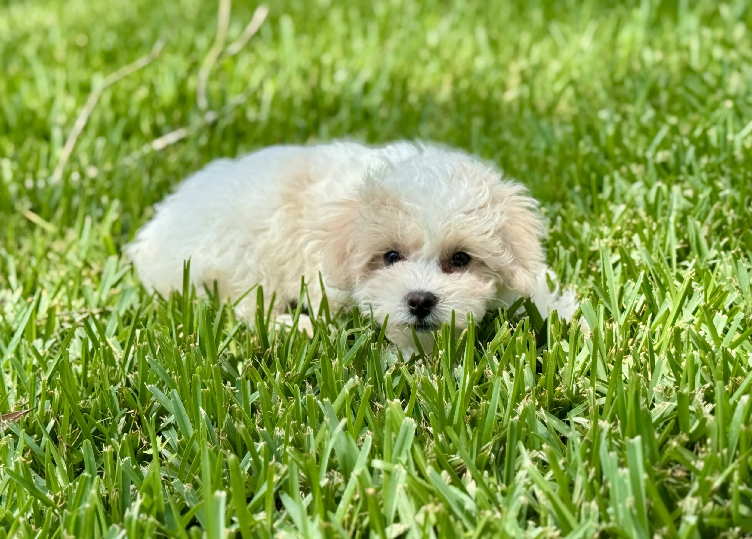 Photo Apr 27 2026, 12 23 51 PM.jpg