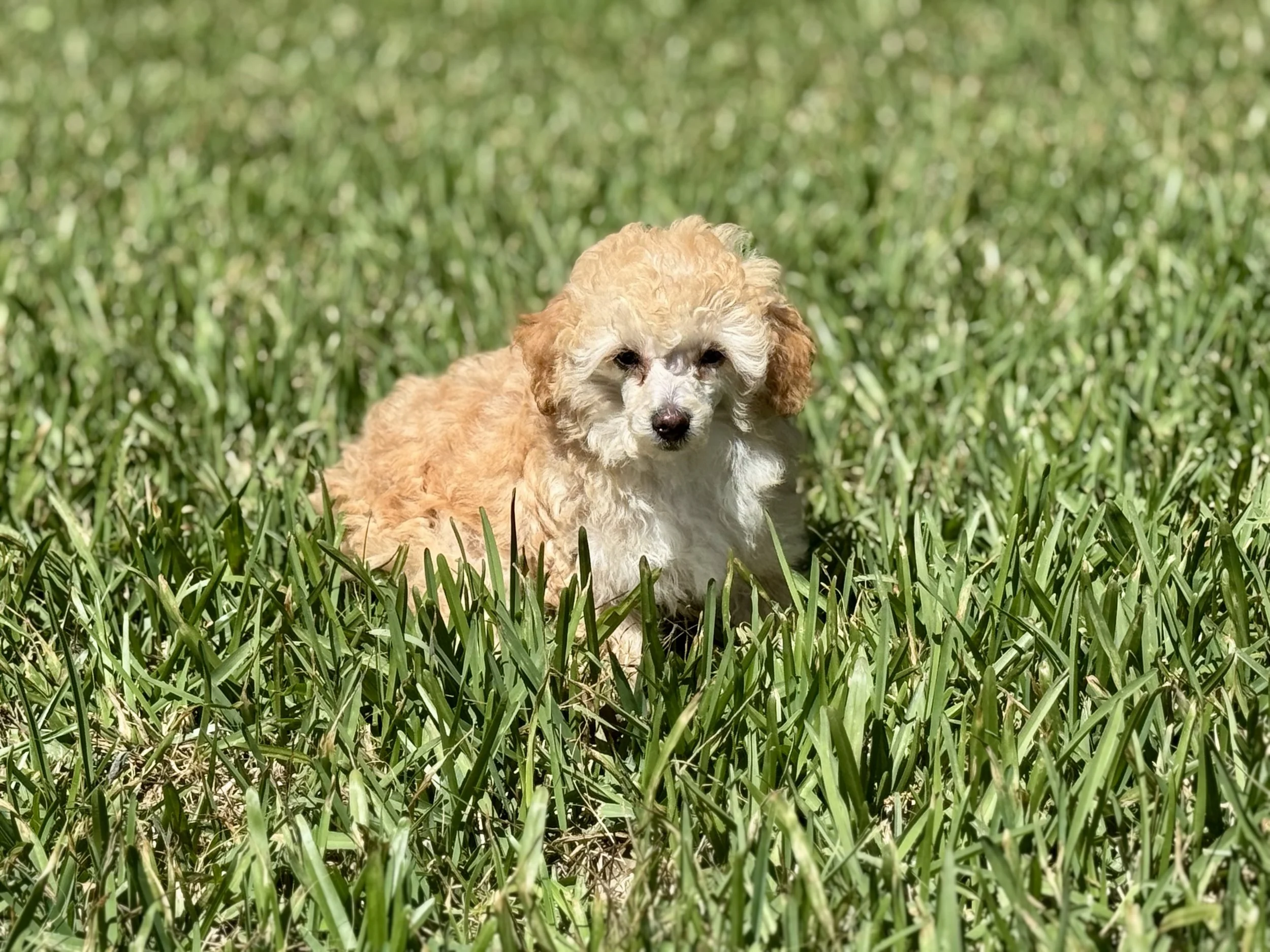 Photo Mar 22 2026, 2 32 14 PM.jpg