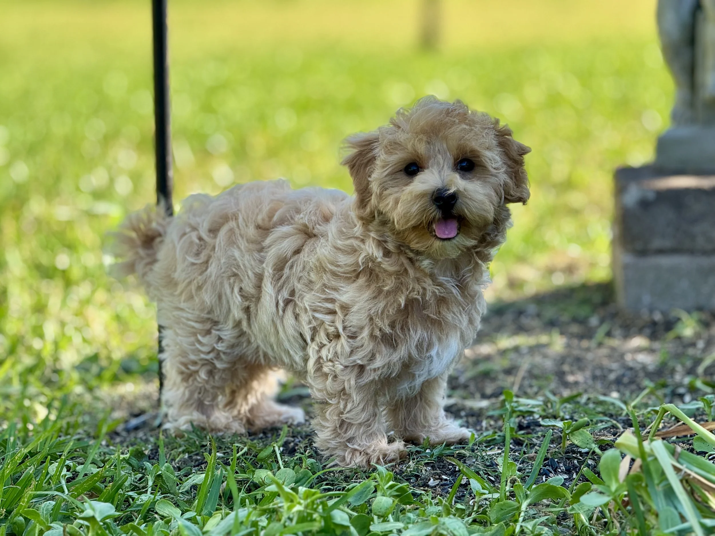 Photo Mar 22 2026, 5 03 14 PM.jpg