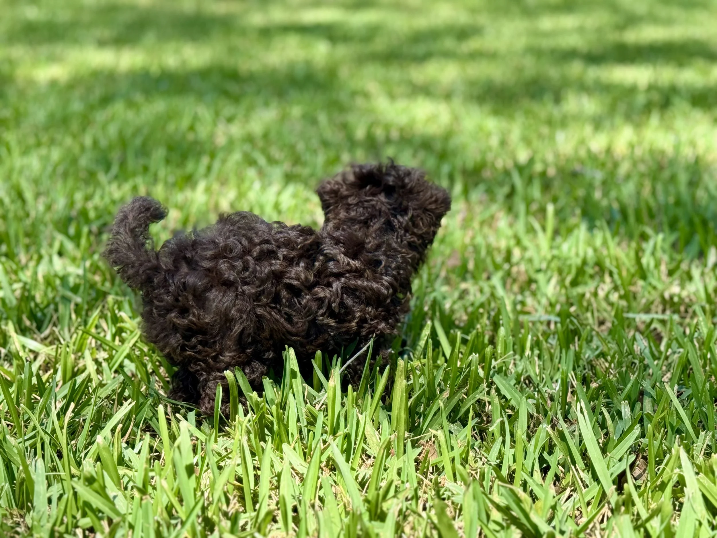 Photo Mar 22 2026, 2 00 36 PM.jpg