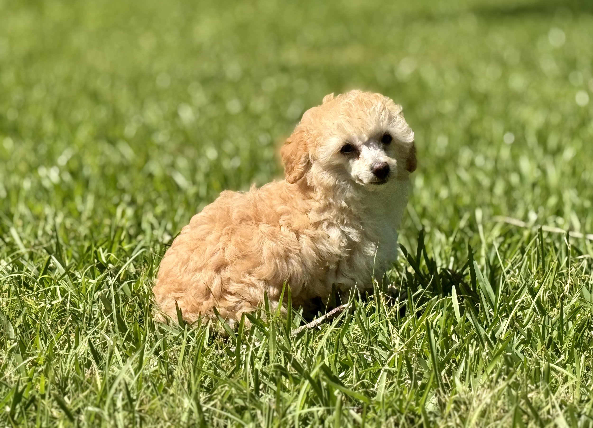 Photo Mar 22 2026, 2 33 25 PM.jpg