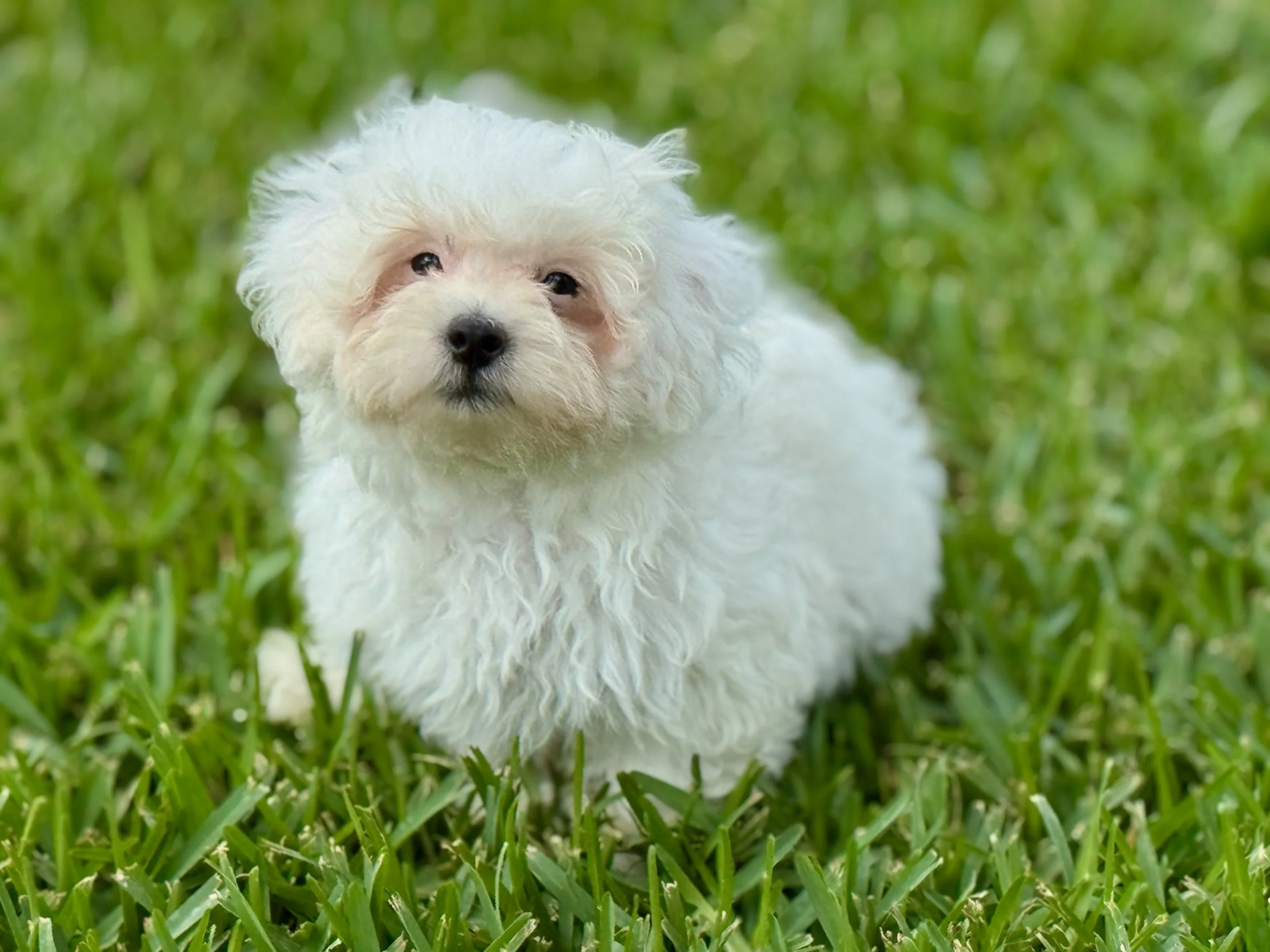 Photo Apr 27 2026, 12 26 42 PM.jpg