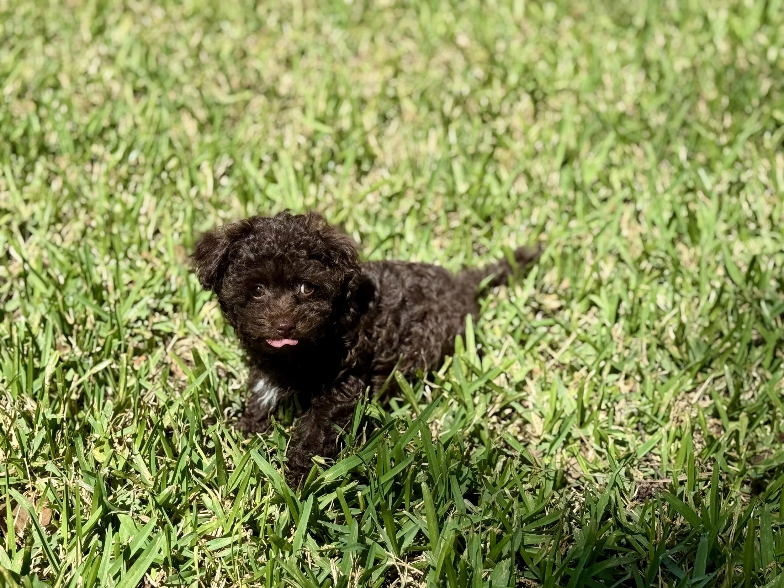 Photo Mar 22 2026, 2 00 07 PM.jpg