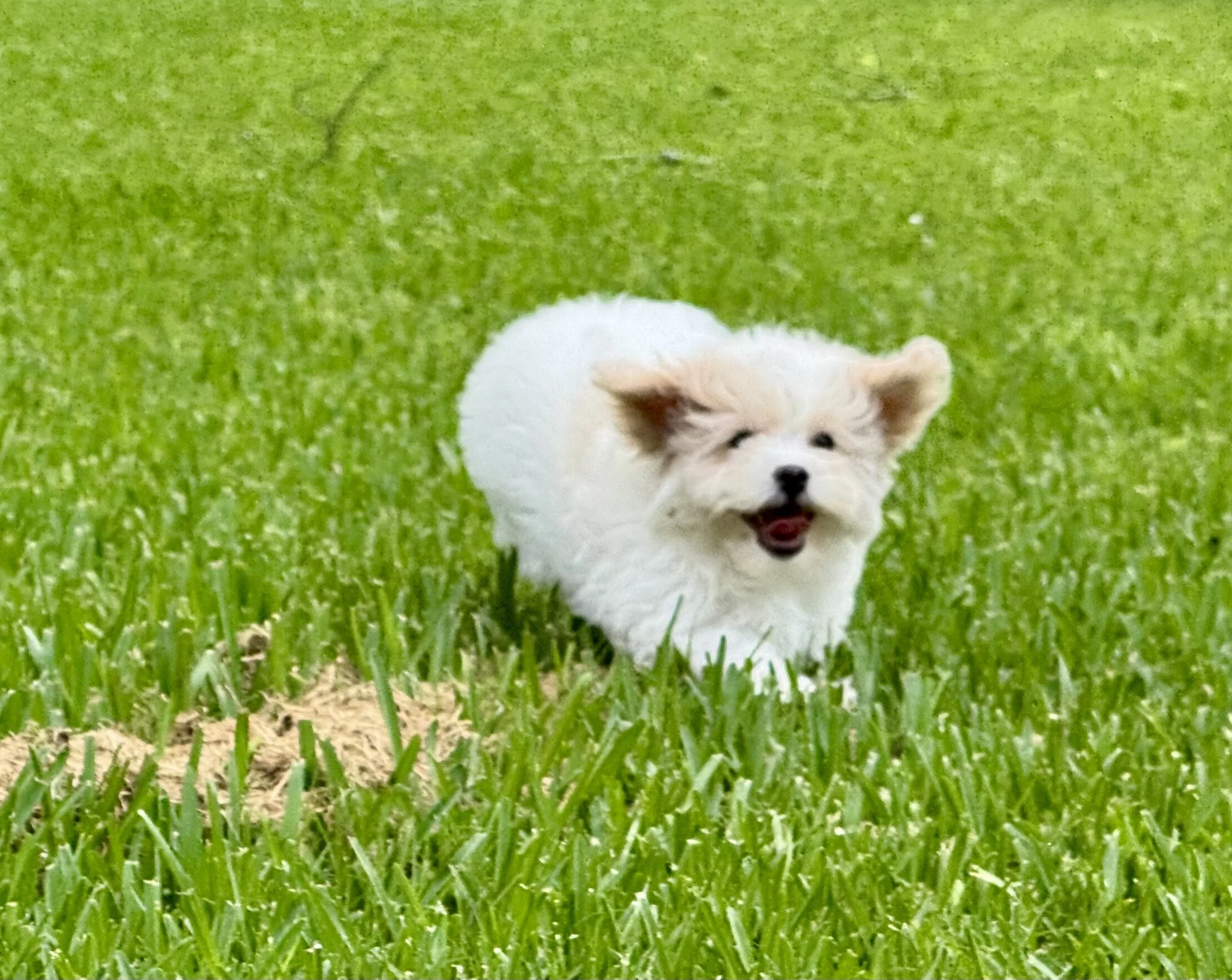 Photo Apr 27 2026, 12 19 09 PM.jpg