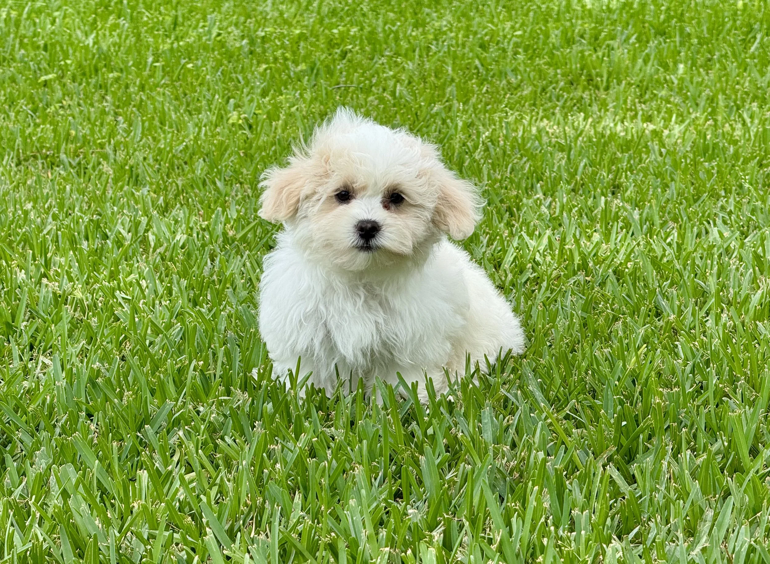 Photo Apr 27 2026, 12 16 00 PM.jpg