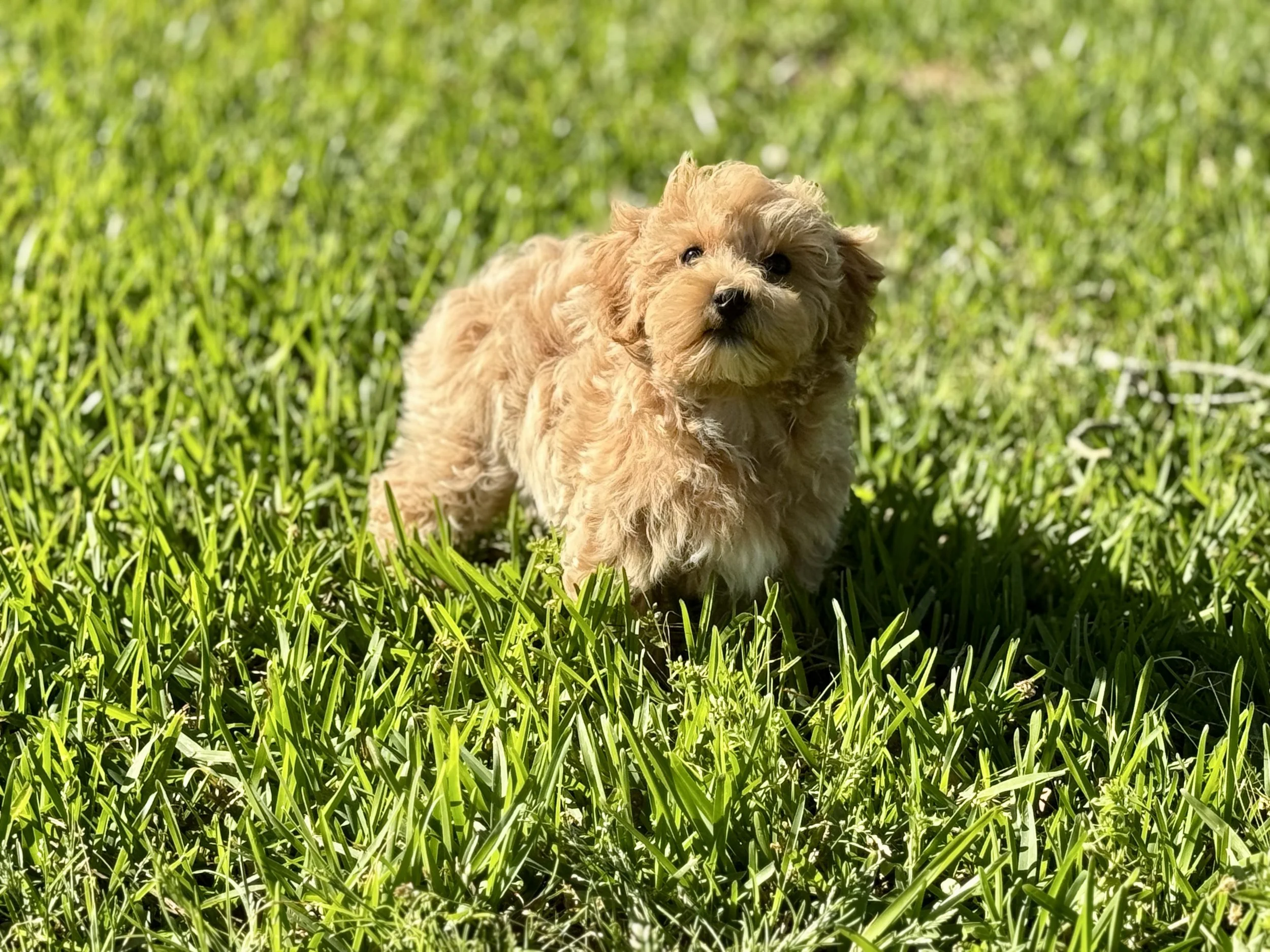 Photo Mar 22 2026, 5 01 24 PM (1).jpg