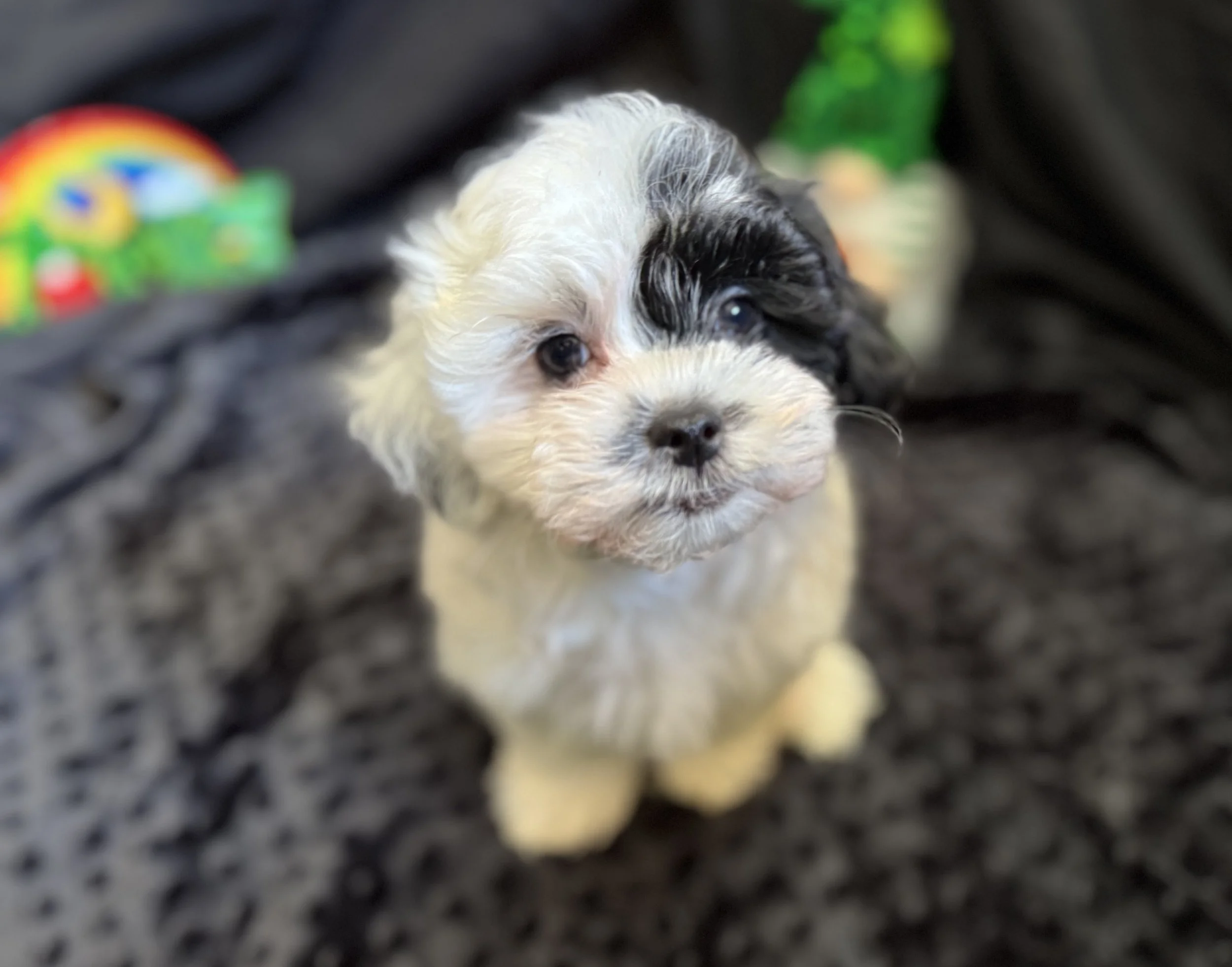 Photo Feb 22 2026, 11 51 43 AM.jpg