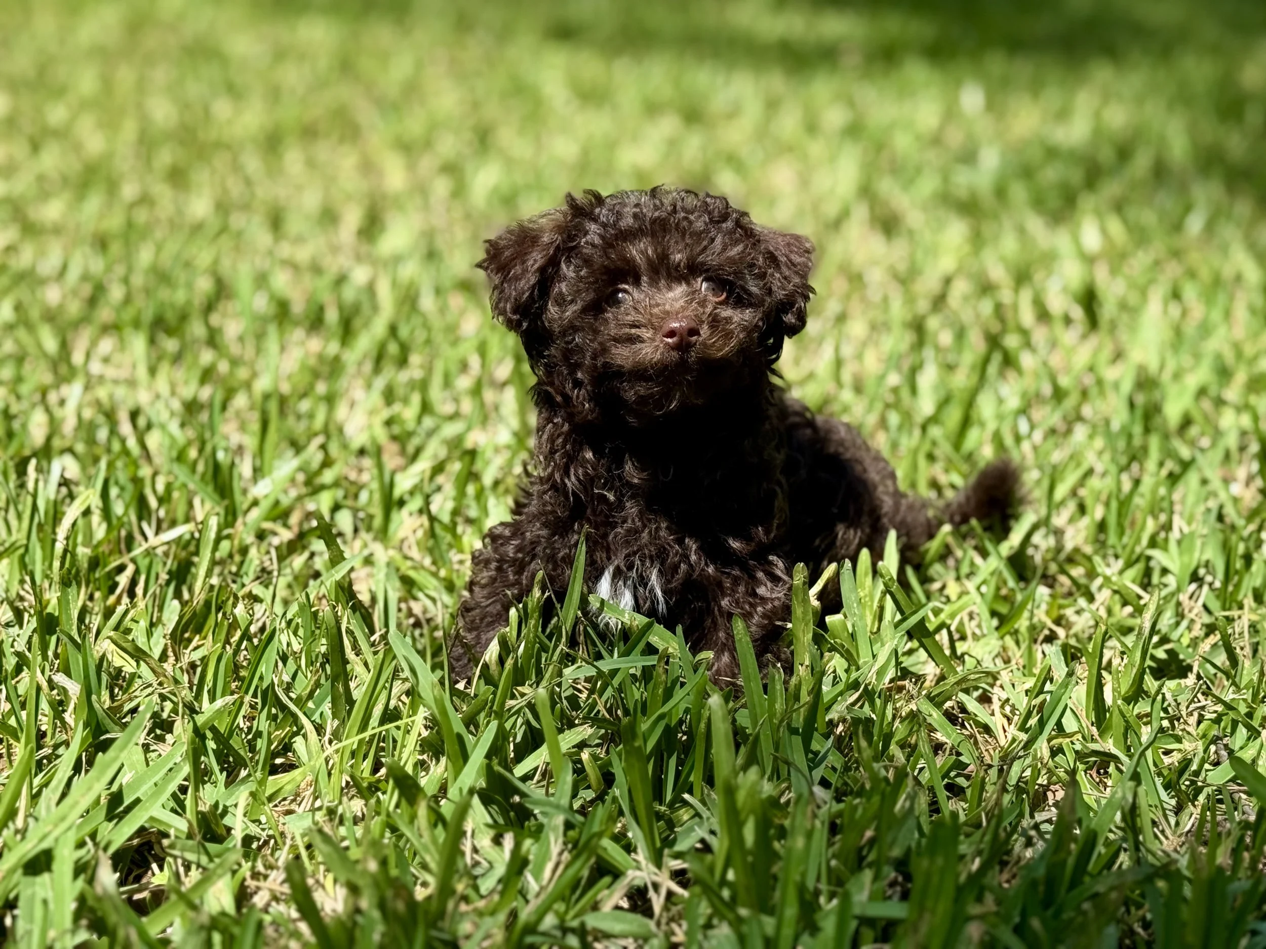 Photo Mar 22 2026, 2 00 25 PM.jpg