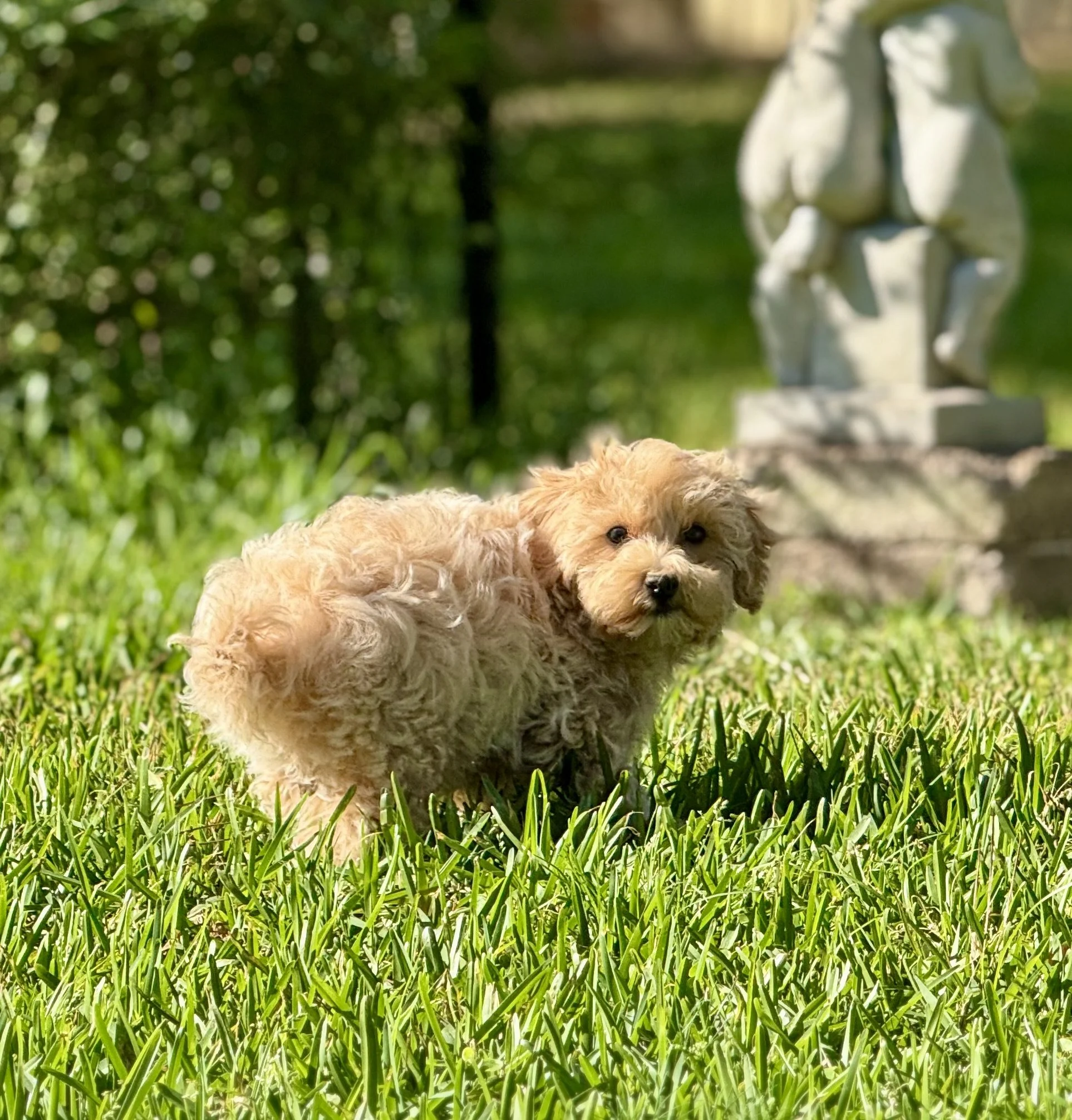 Photo Mar 22 2026, 5 01 34 PM.jpg