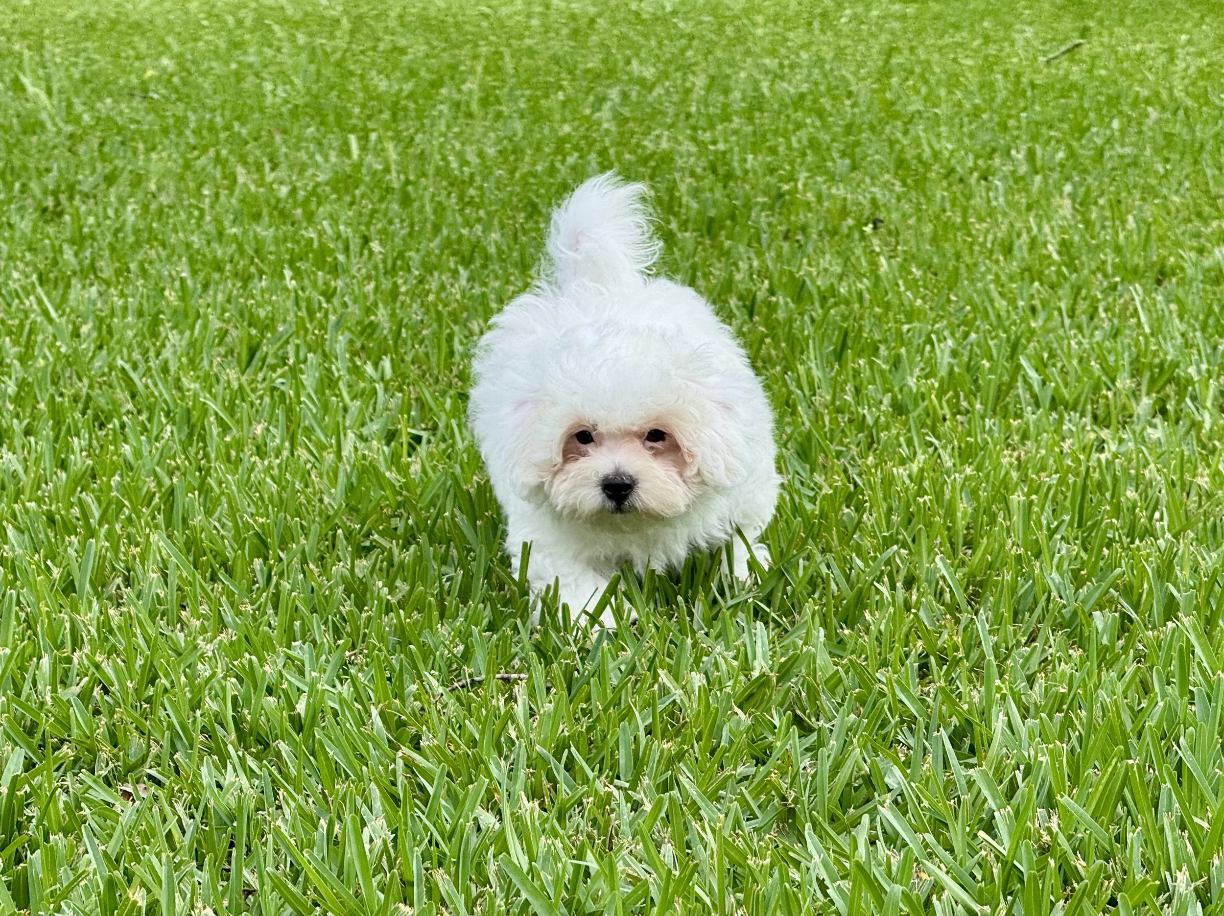 Photo Apr 27 2026, 12 27 33 PM.jpg