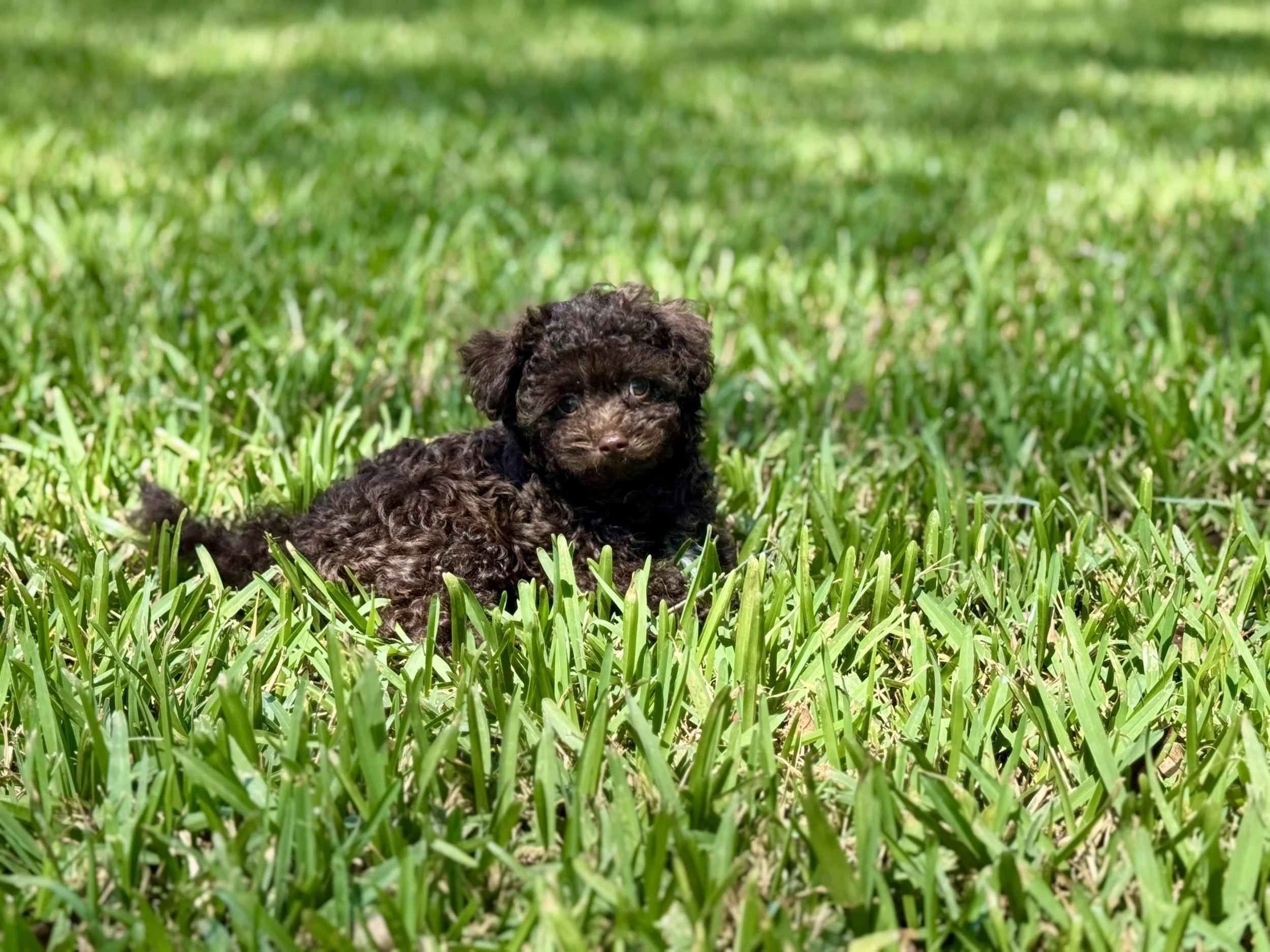 Photo Mar 22 2026, 2 00 40 PM.jpg