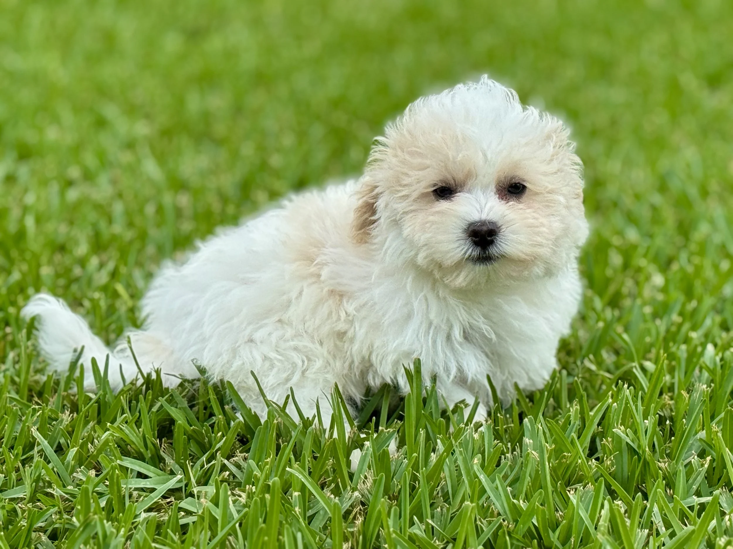 Photo Apr 27 2026, 12 15 11 PM.jpg