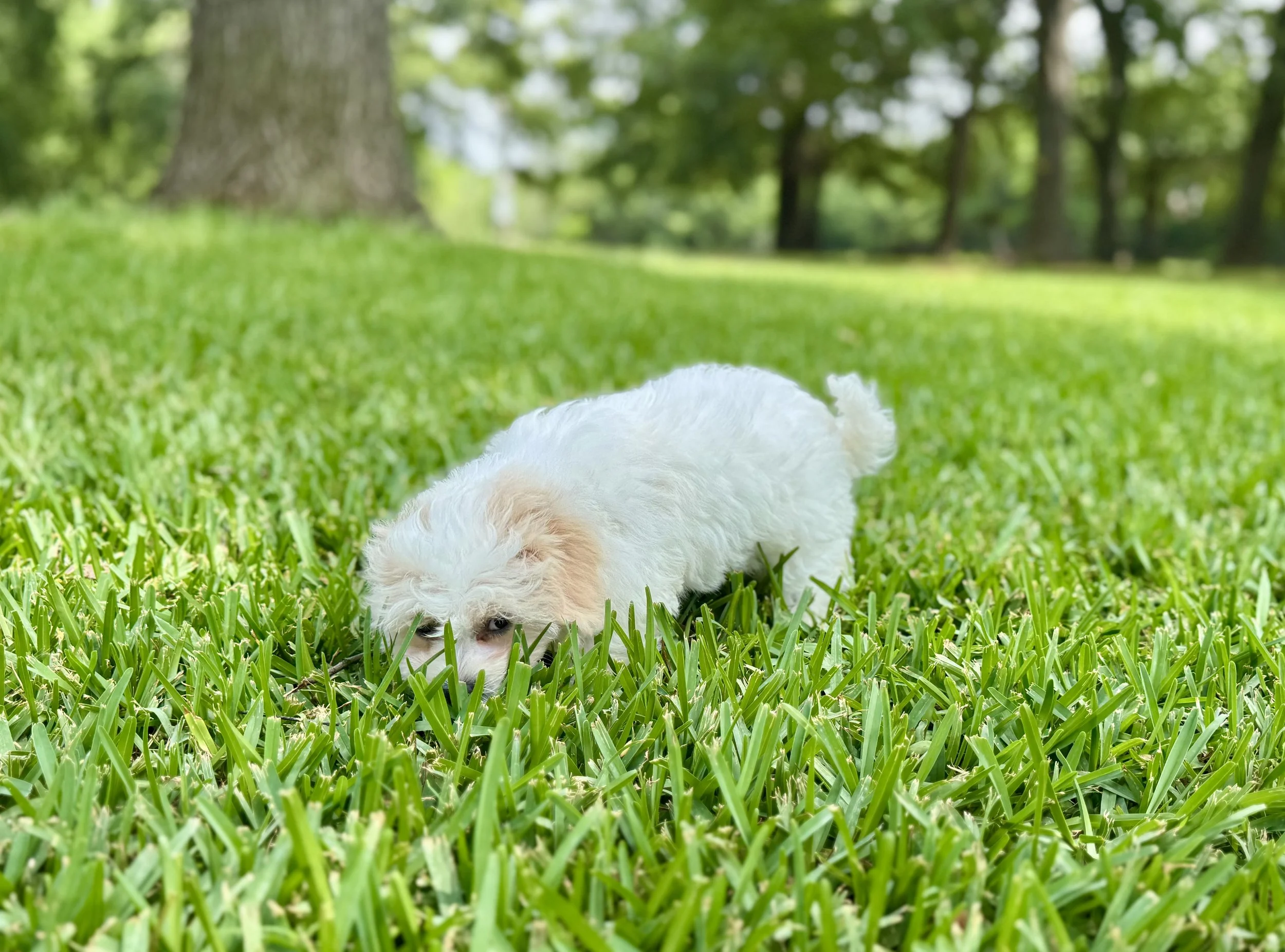 Photo Apr 27 2026, 12 20 45 PM (1).jpg