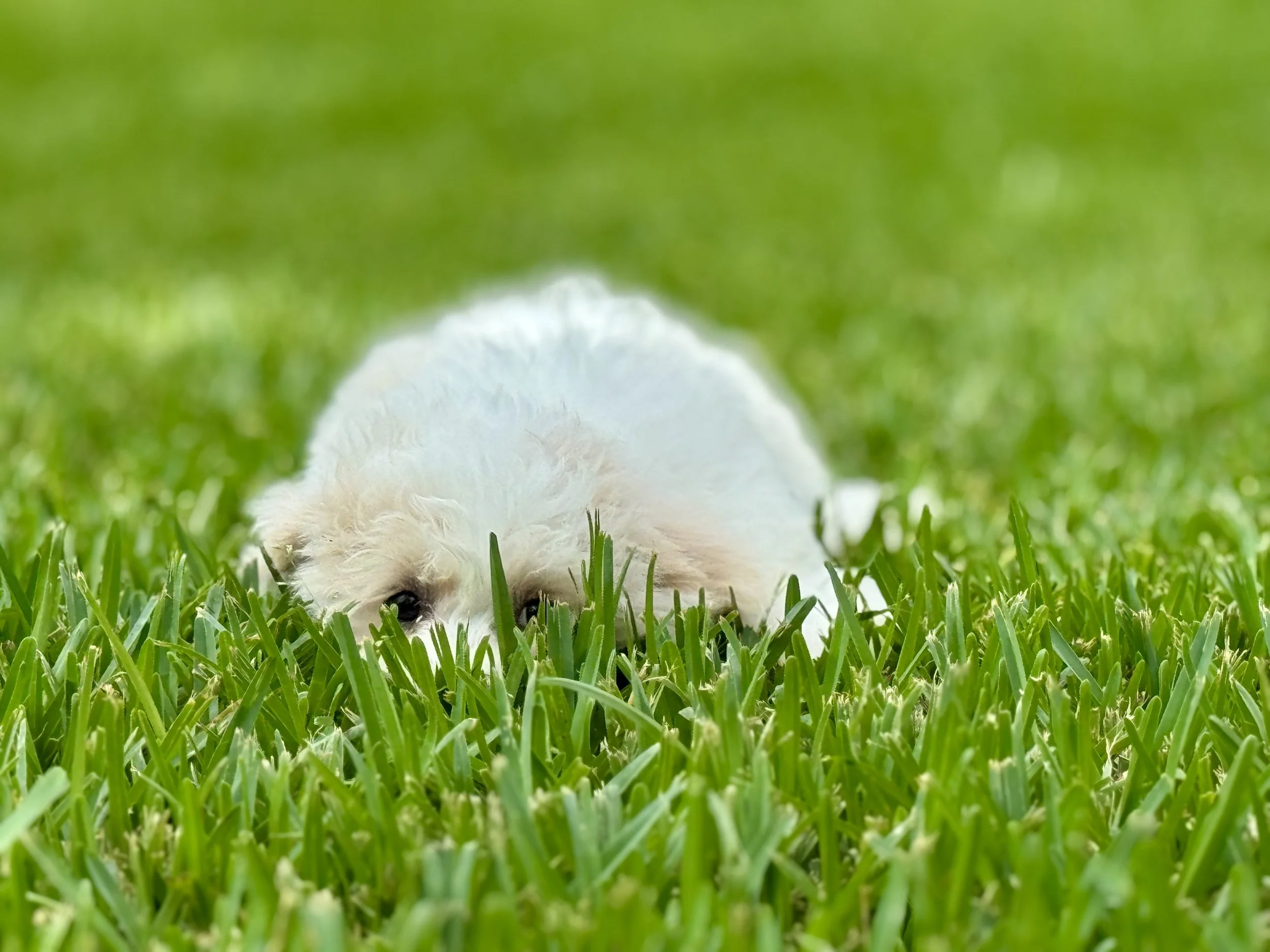 Photo Apr 27 2026, 12 16 08 PM.jpg