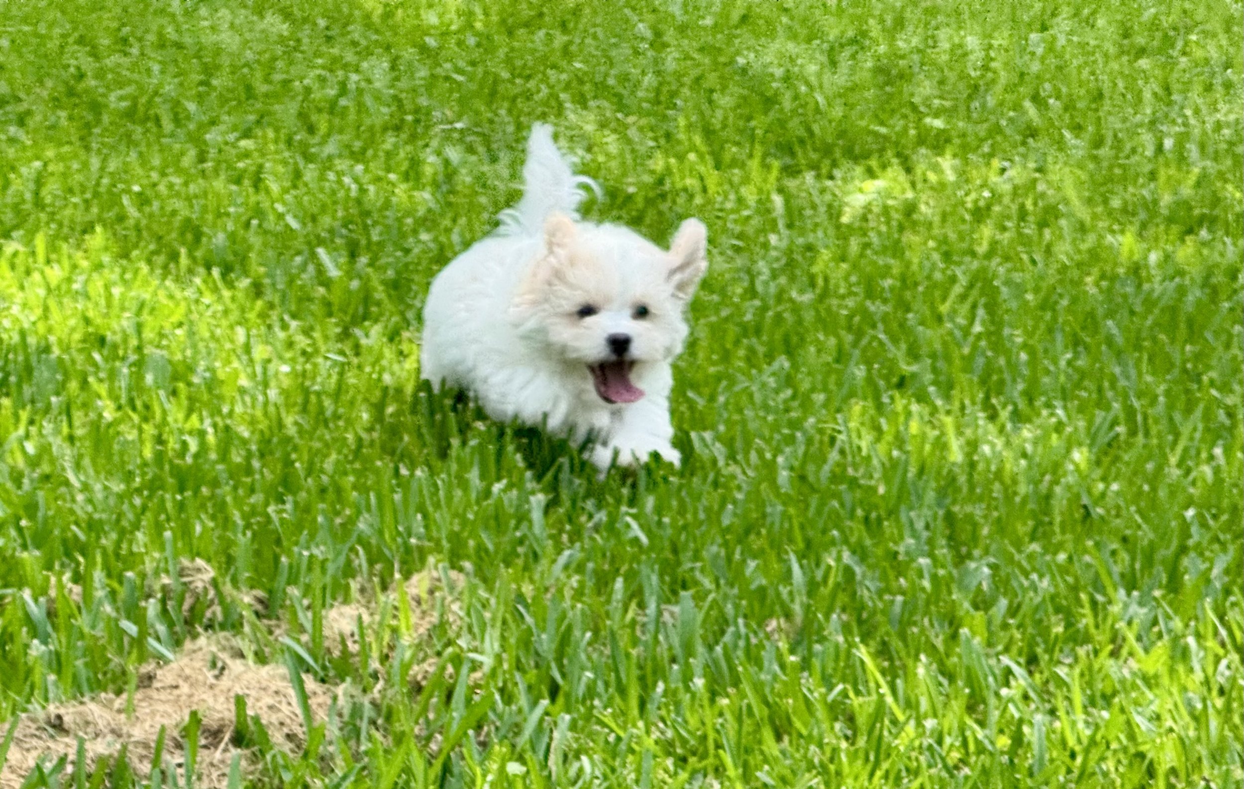 Photo Apr 27 2026, 12 21 28 PM (1).jpg