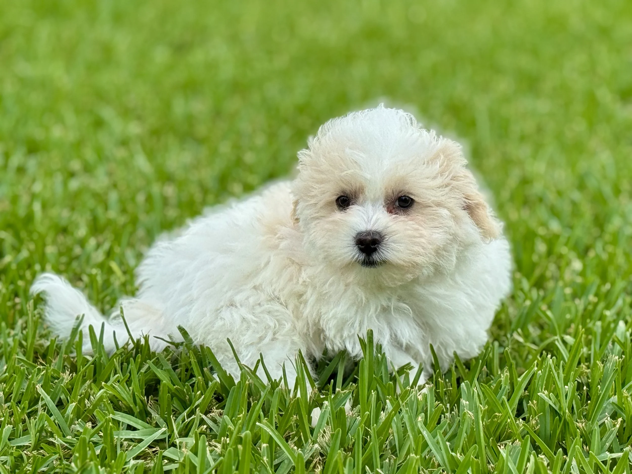 Photo Apr 27 2026, 12 15 11 PM (1).jpg