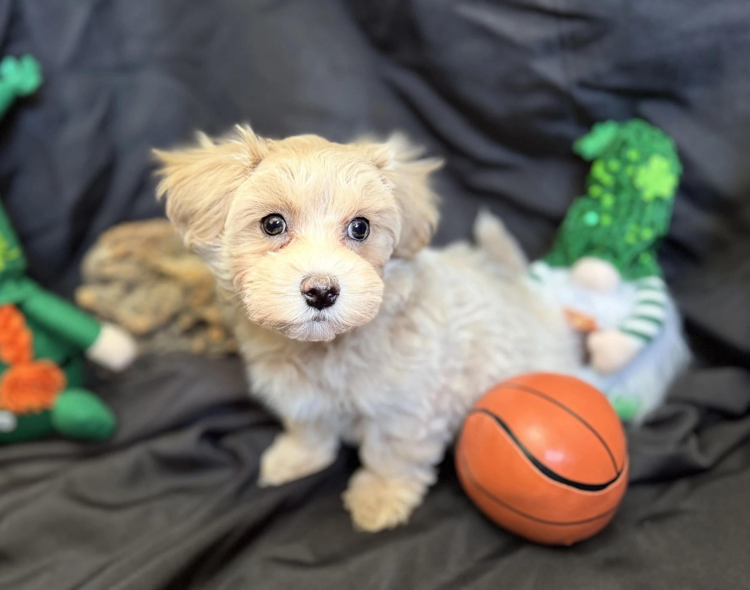 Photo Feb 22 2026, 11 35 19 AM.jpg