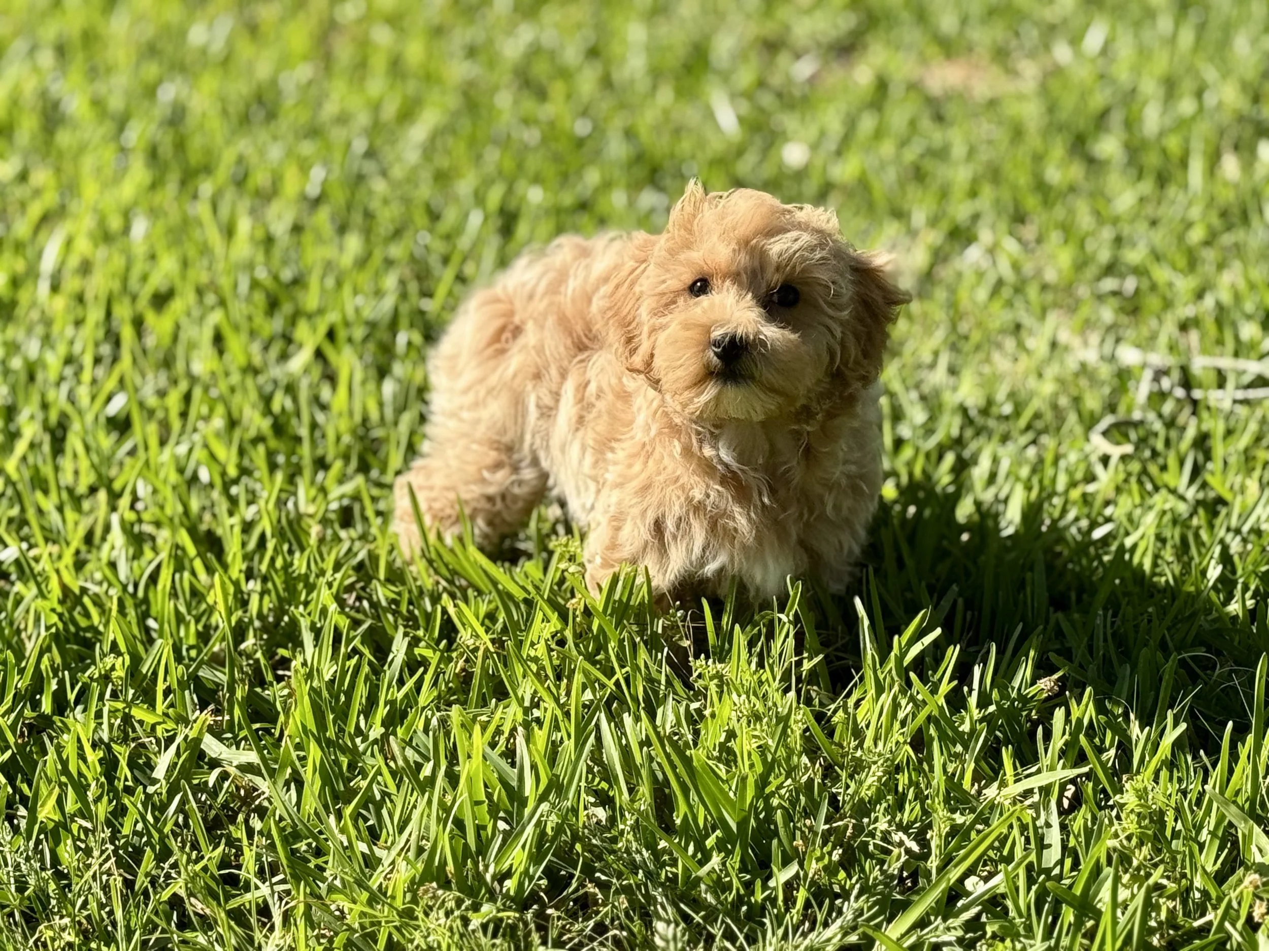 Photo Mar 22 2026, 5 01 24 PM.jpg